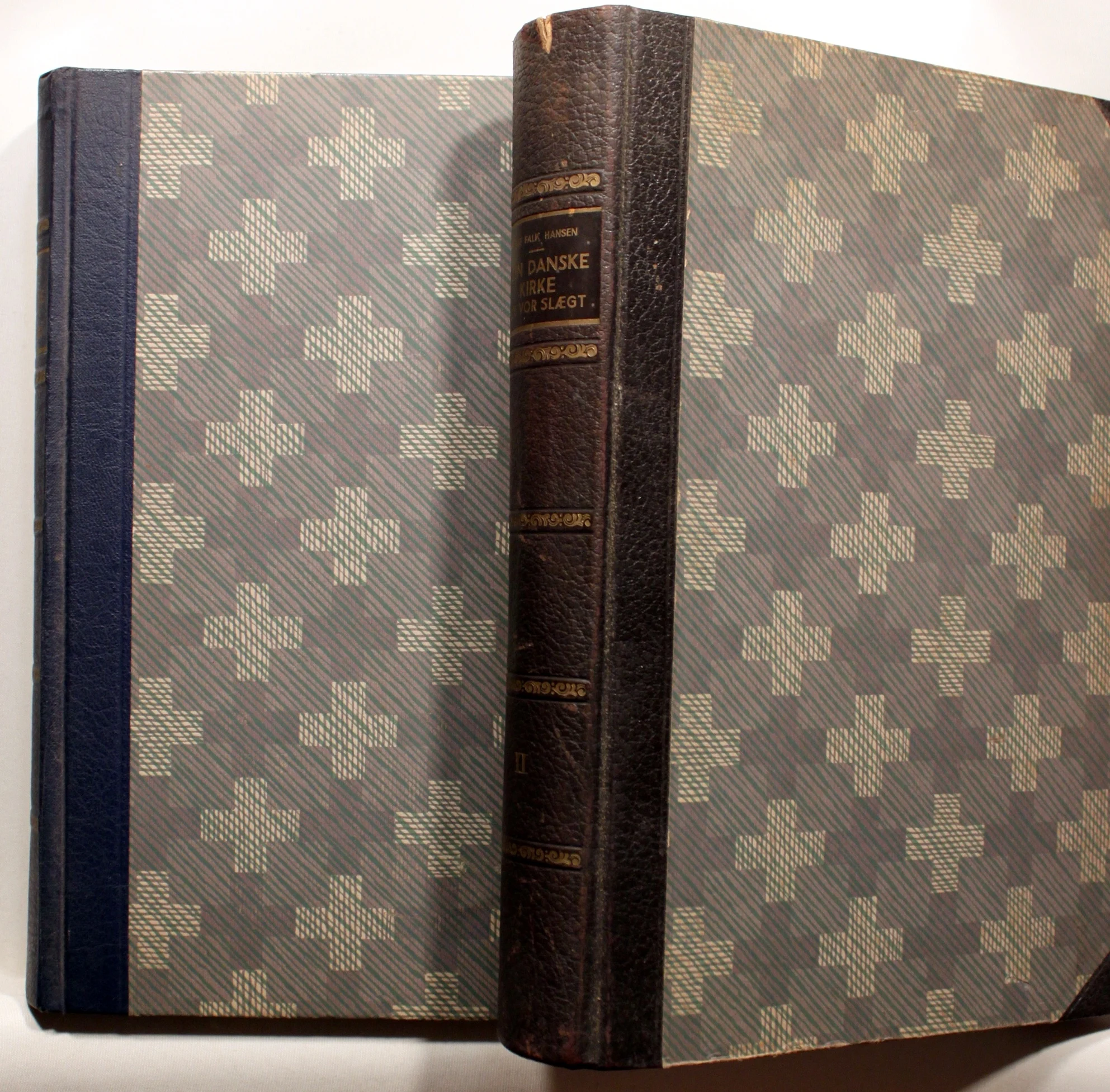 Den danske kirke og vor slægt. 2 bind