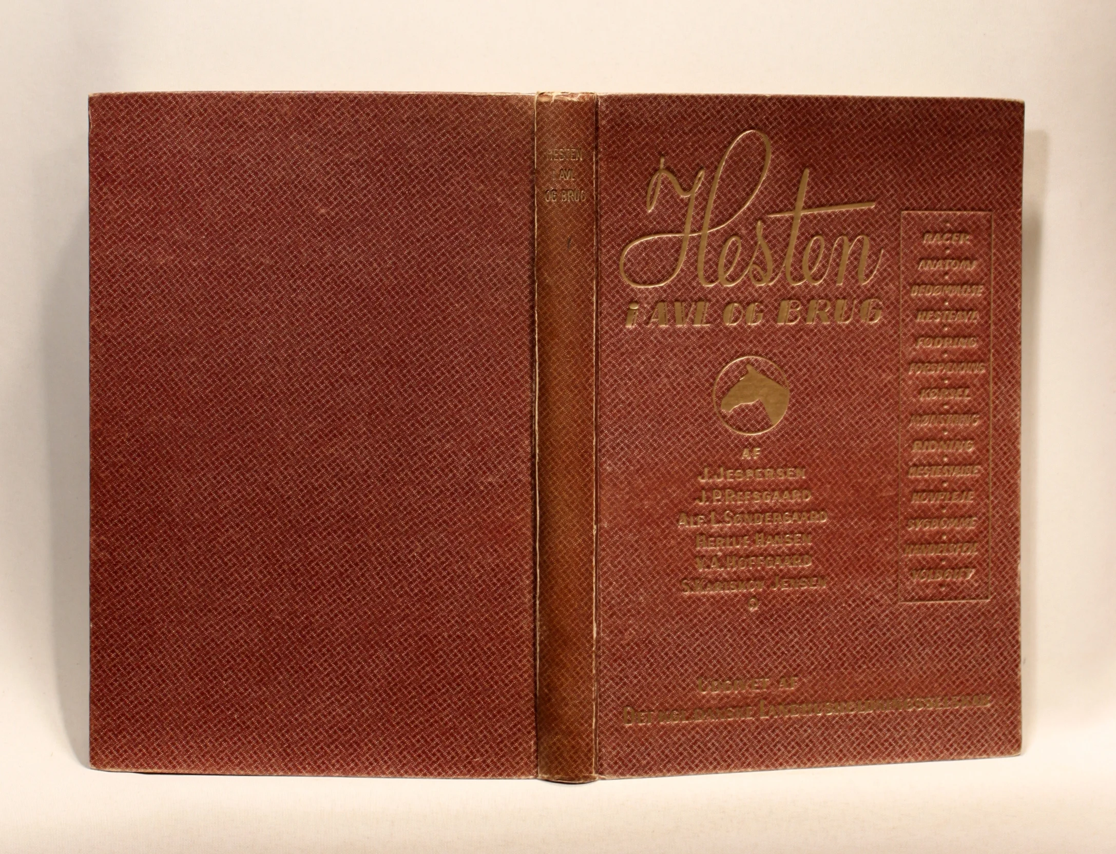 Hesten i Avl og Brug