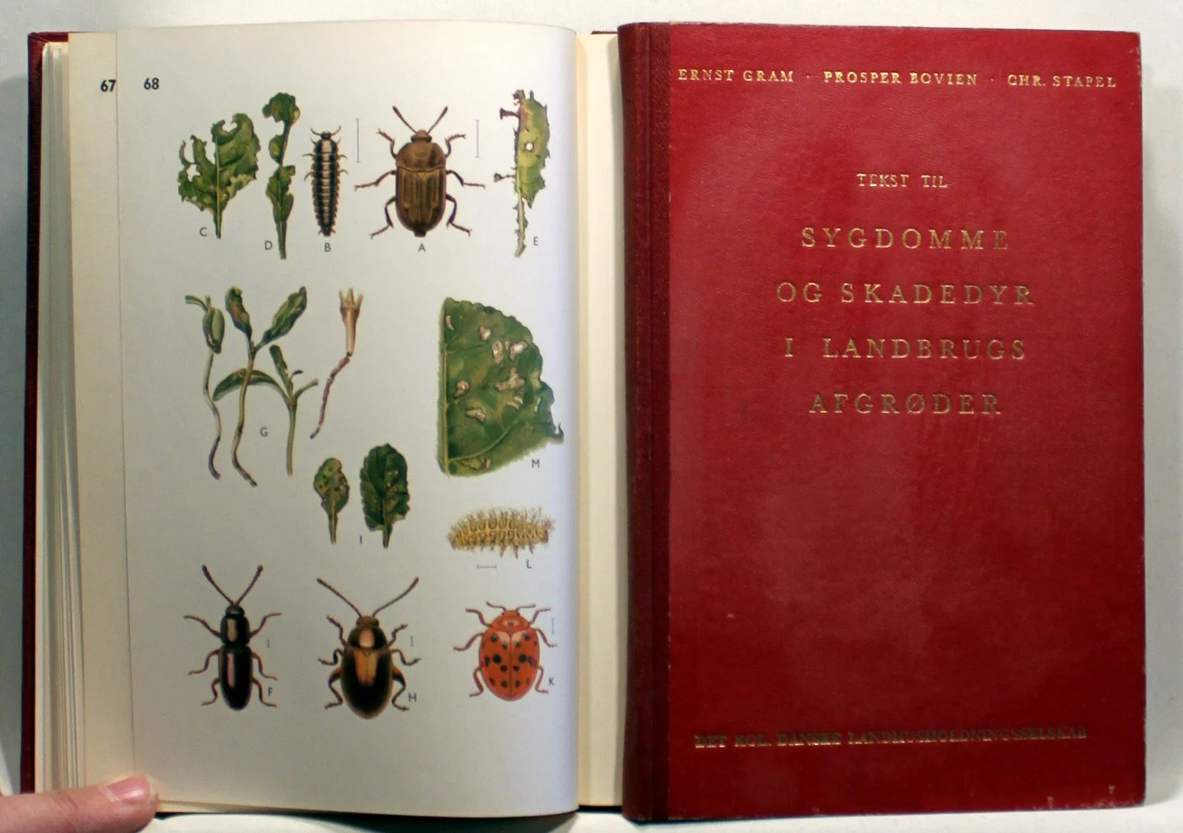 Sygdomme og skadedyr i landbrugsafgrøder. Tekstbog til farvetavler.