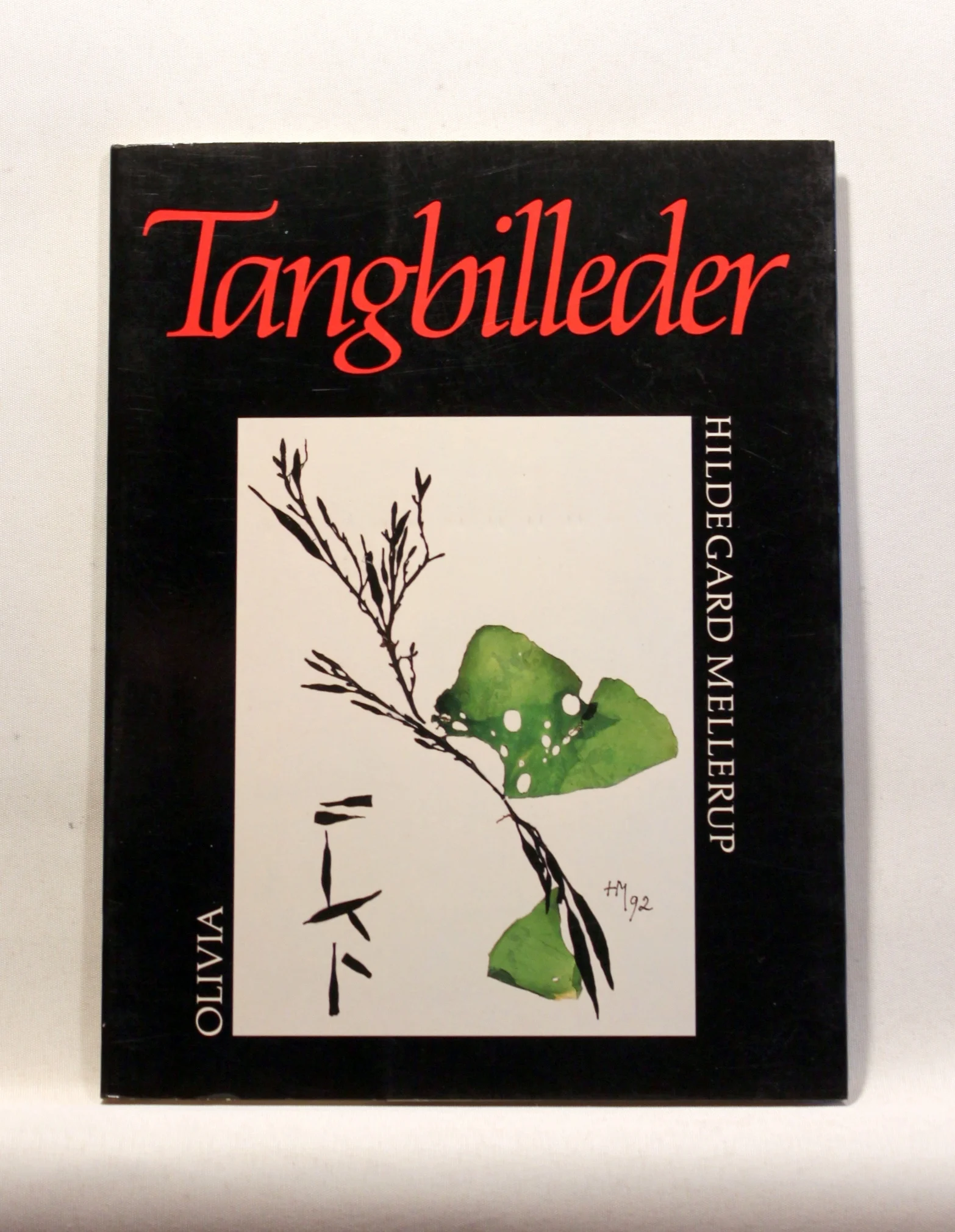 Tangbilleder