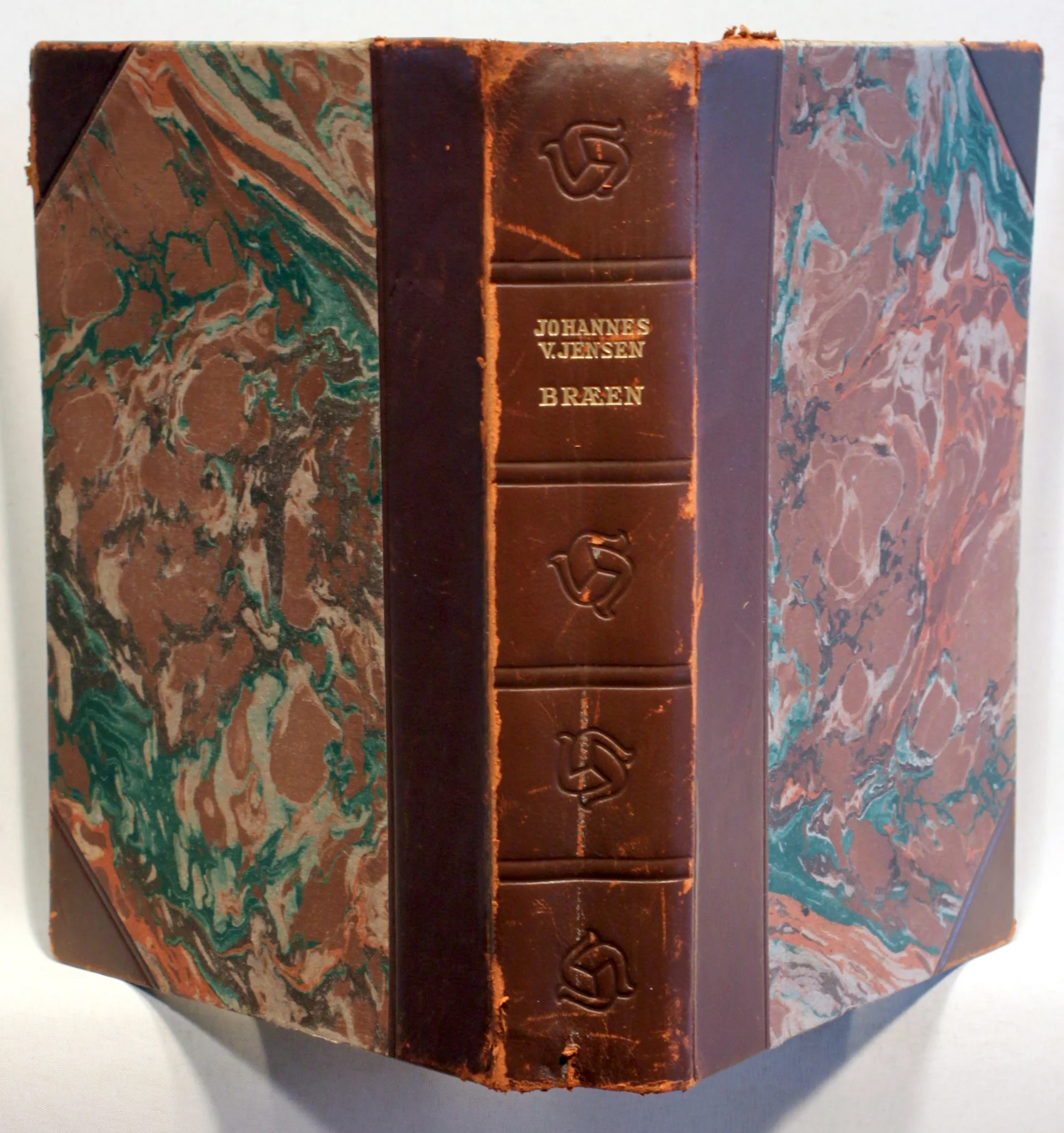 Bræen. Myter om istiden og det første menneske