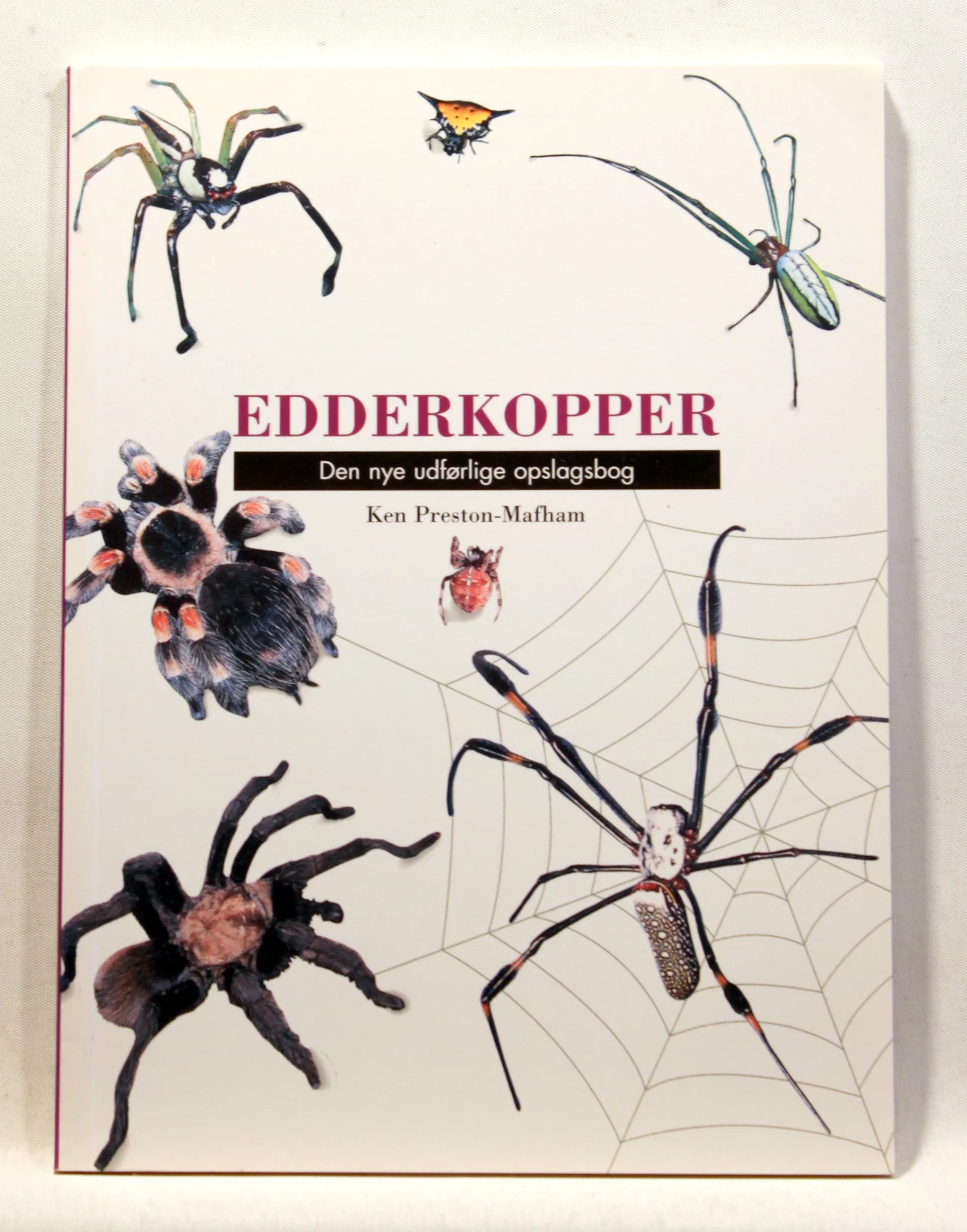 Edderkopper. Den nye udførlige opslagsbog
