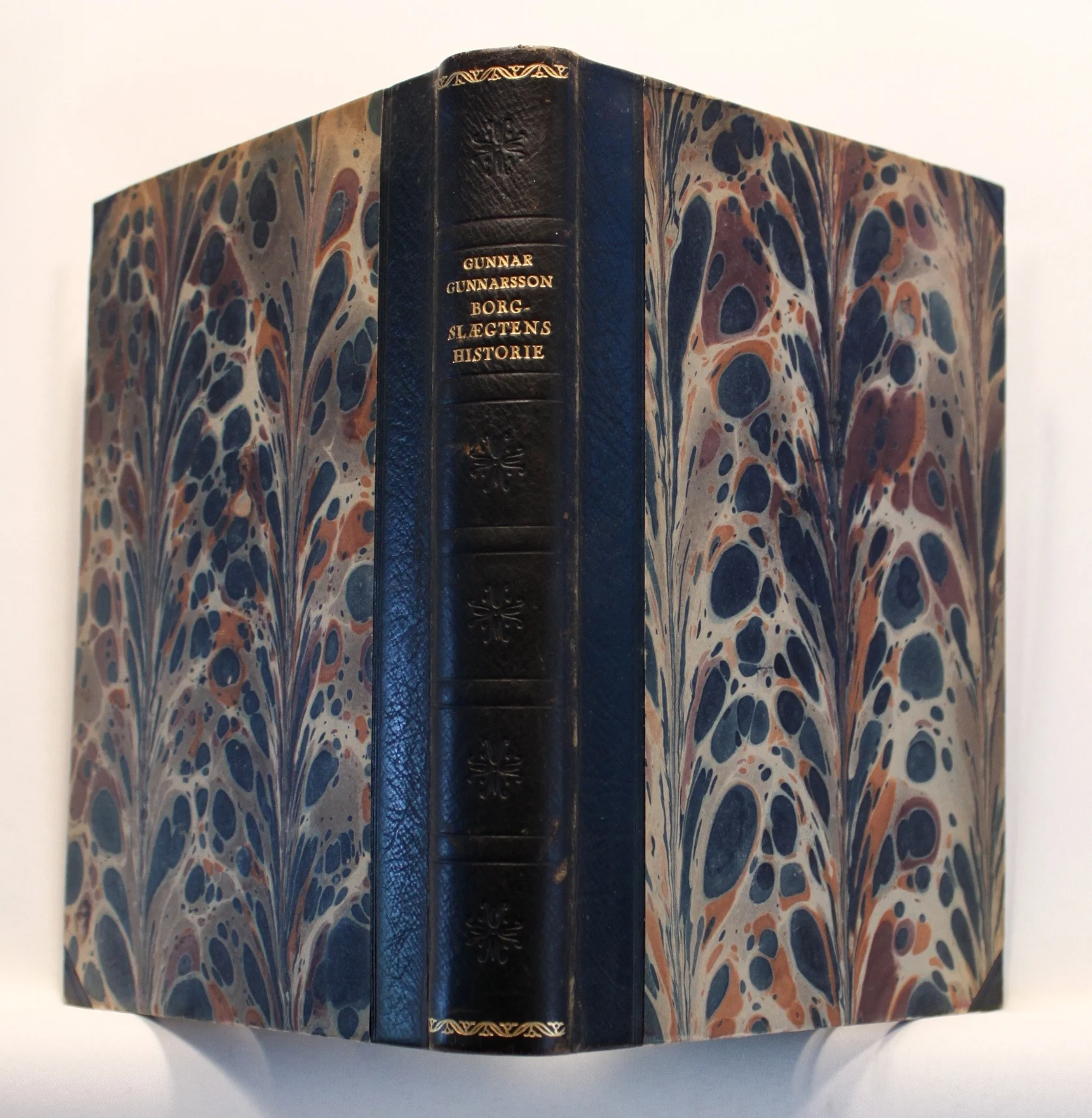 Borgslægtens Historie