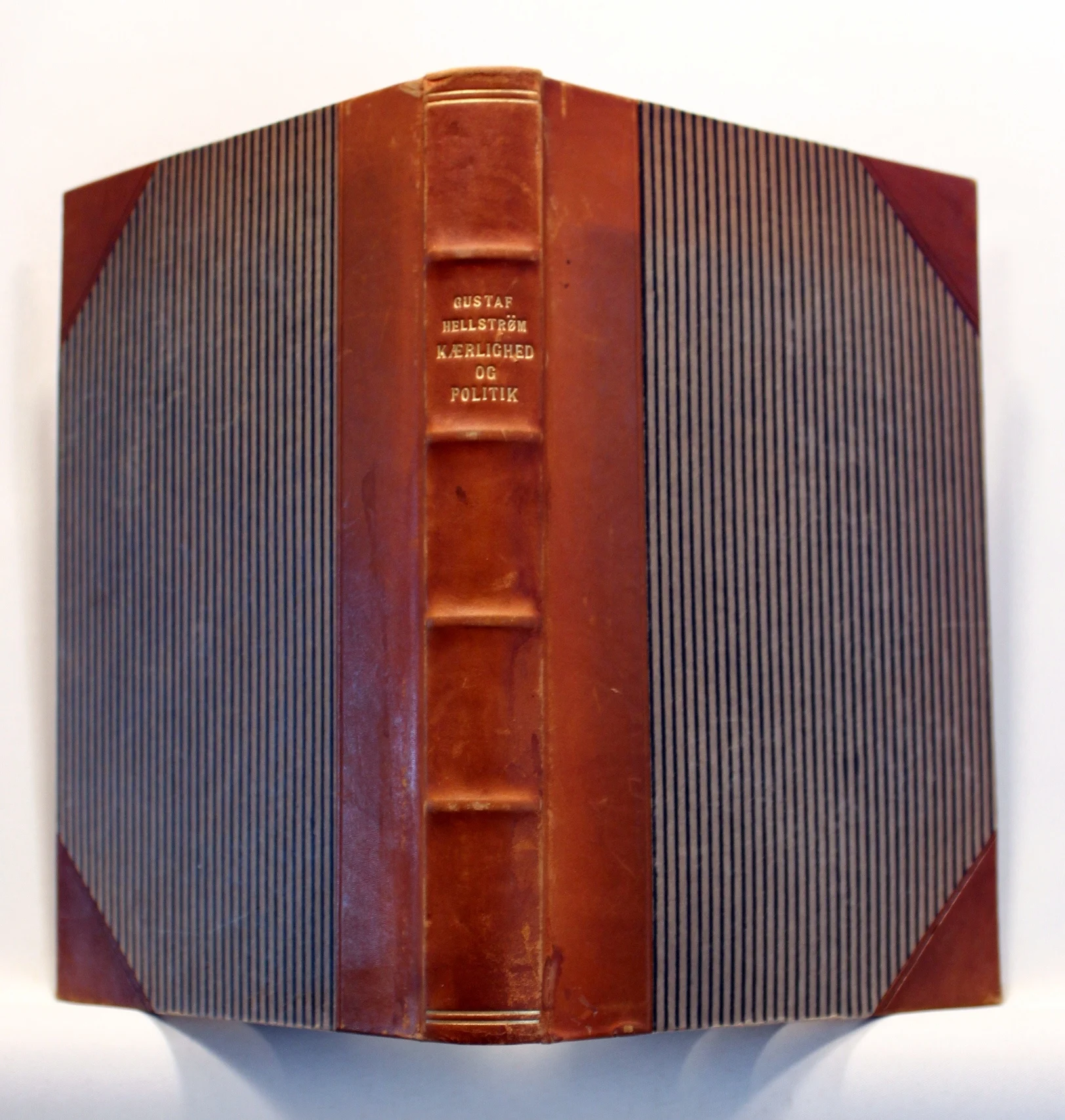 Kærlighed og Politik