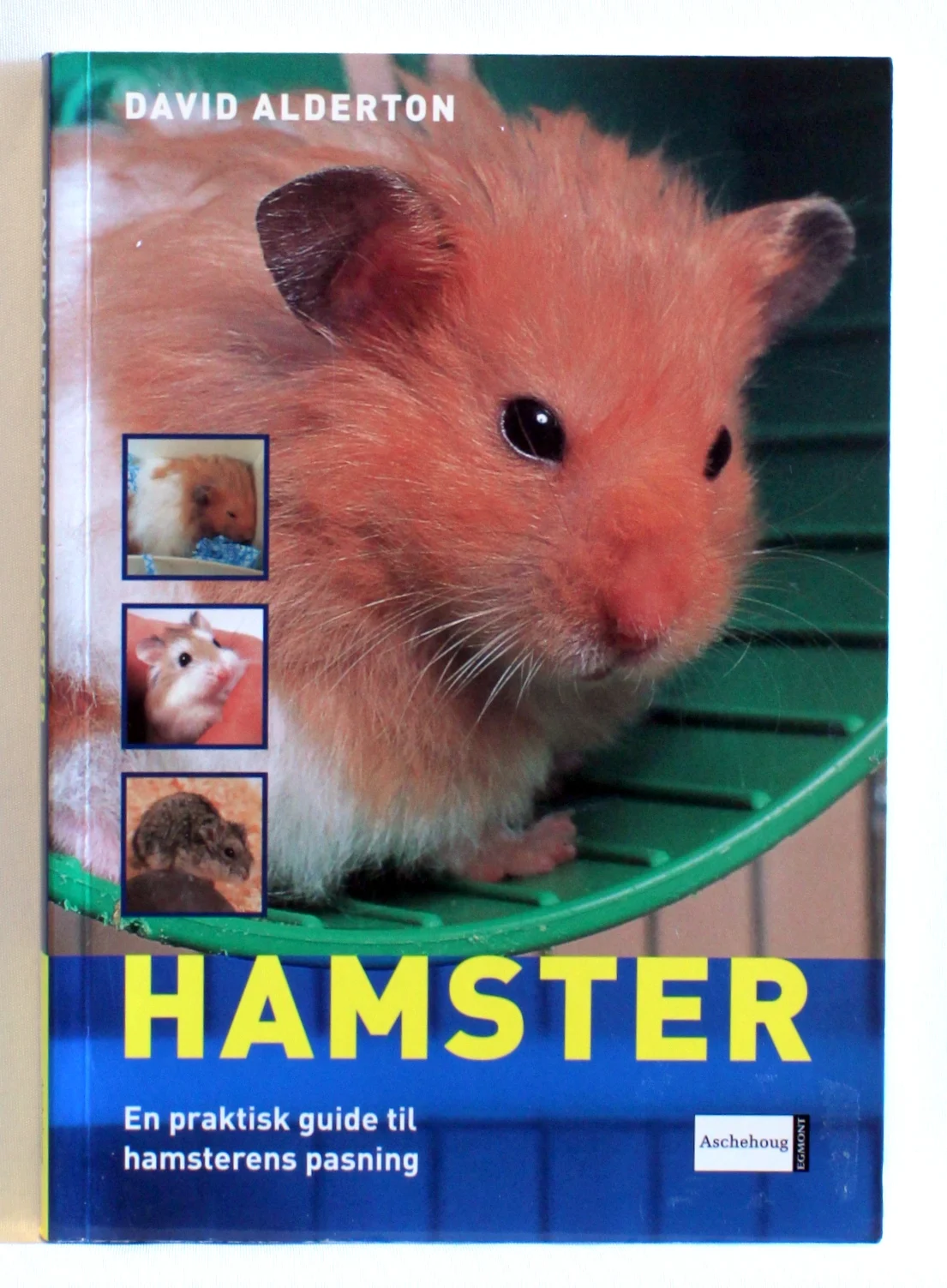 Hamster. En praktisk guide til hamsterens pasning