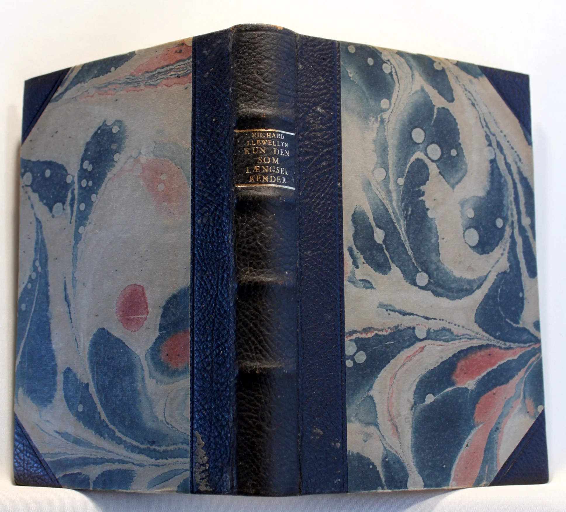 Kun den som Længsel kender