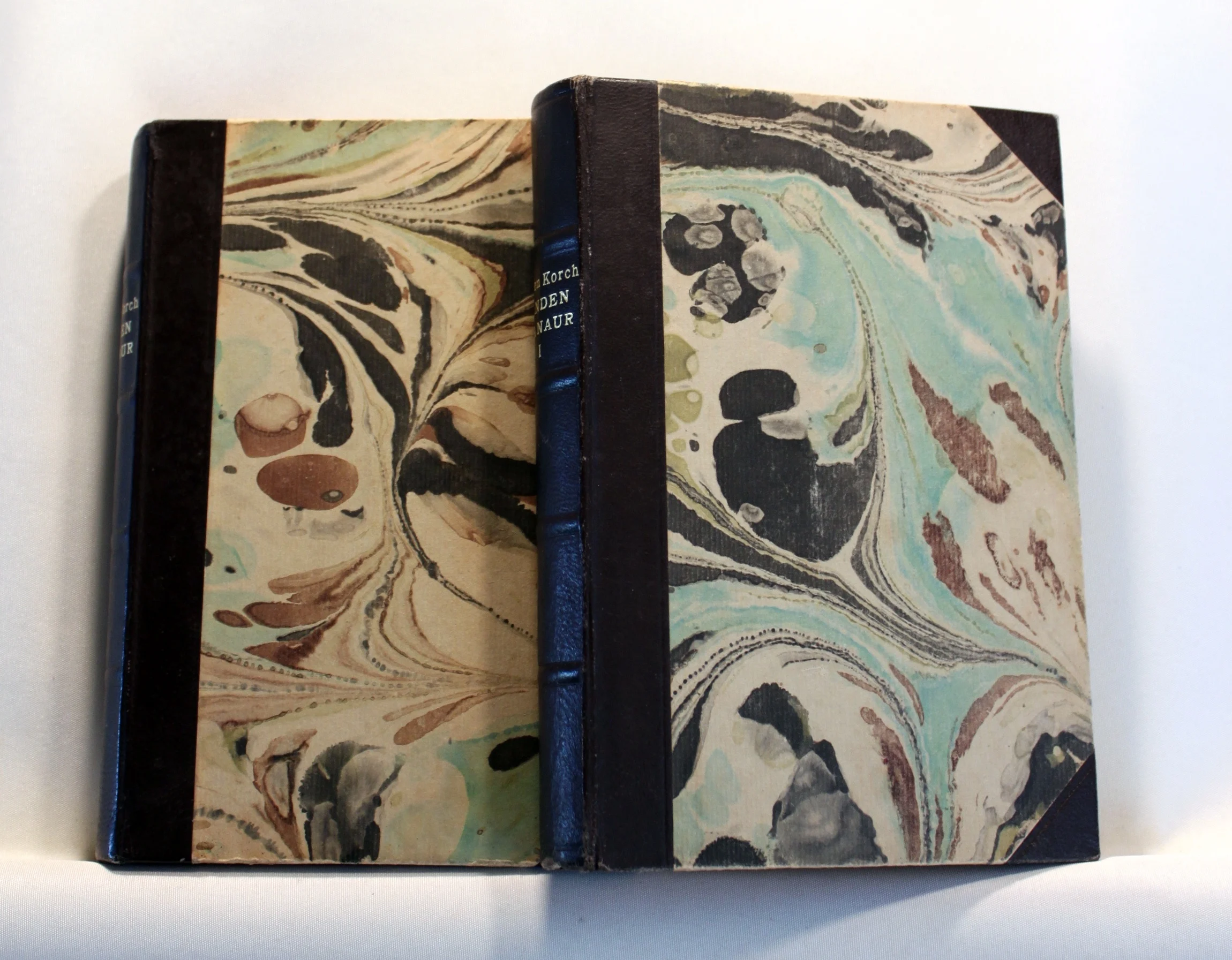 Manden paa Naur. 2 Bind