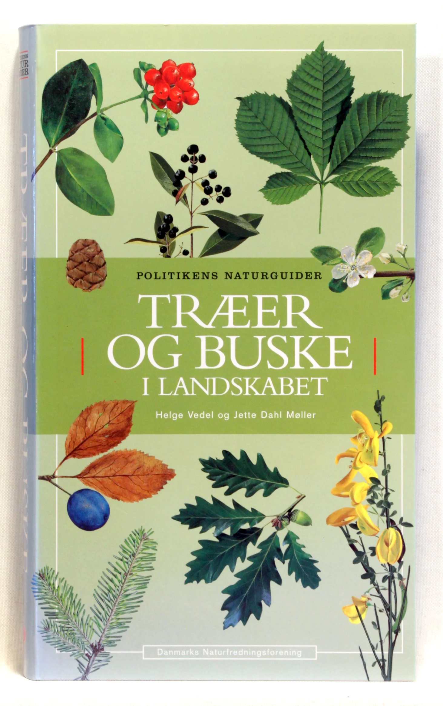 Træer og buske i landskabet