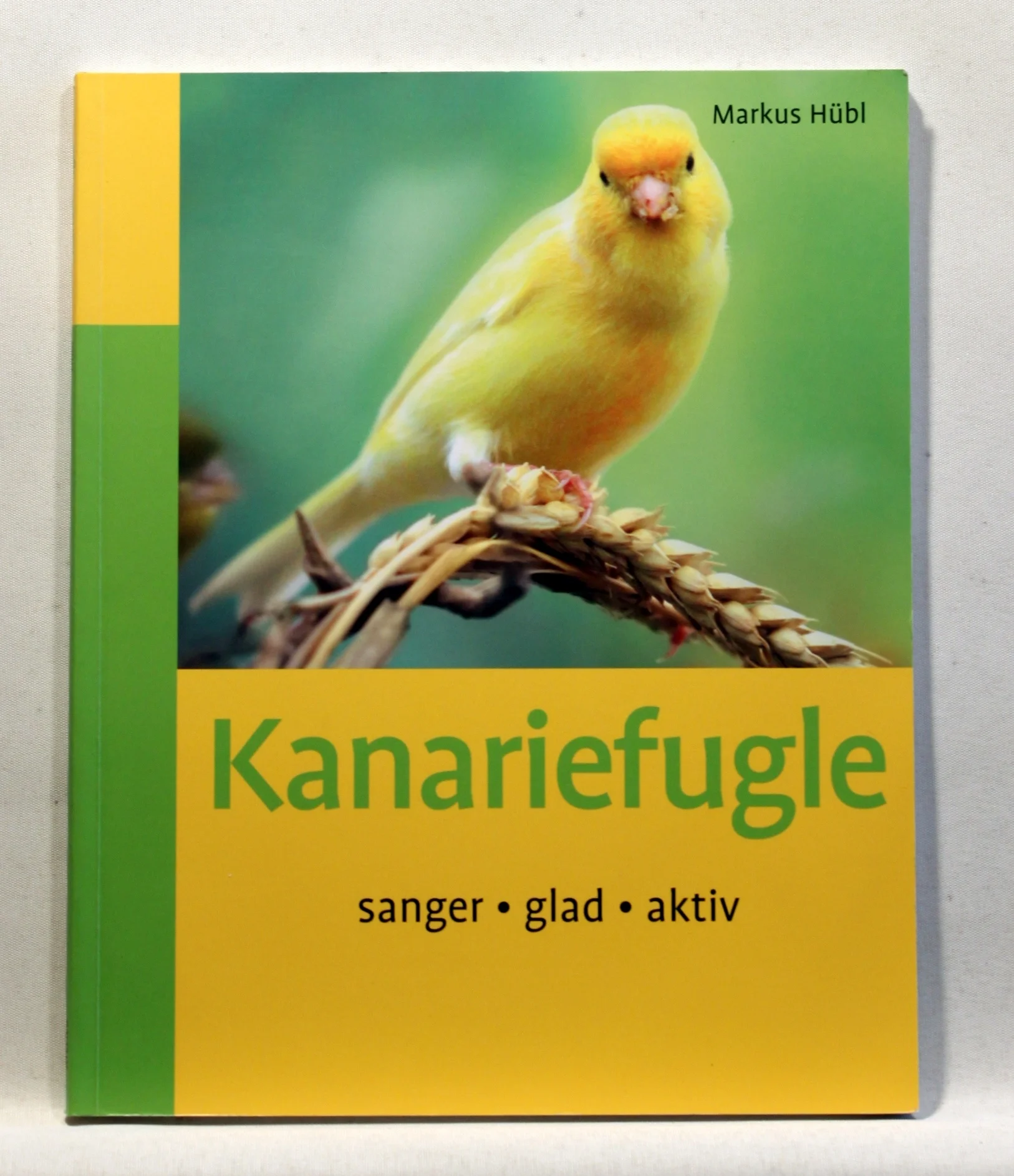 Kanariefugle. Sanger. Glad. Aktiv