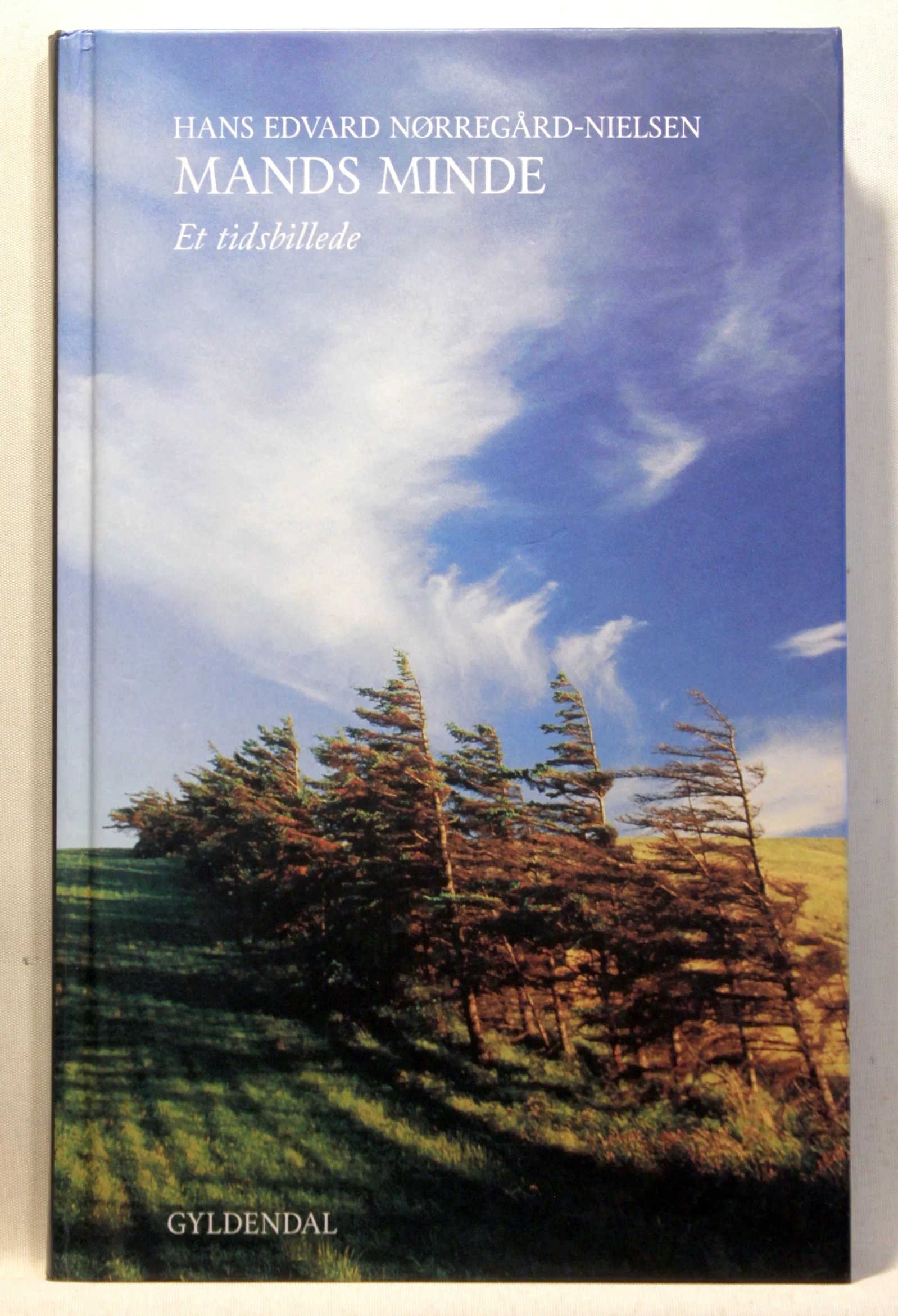 Mands minde – et tidsbillede