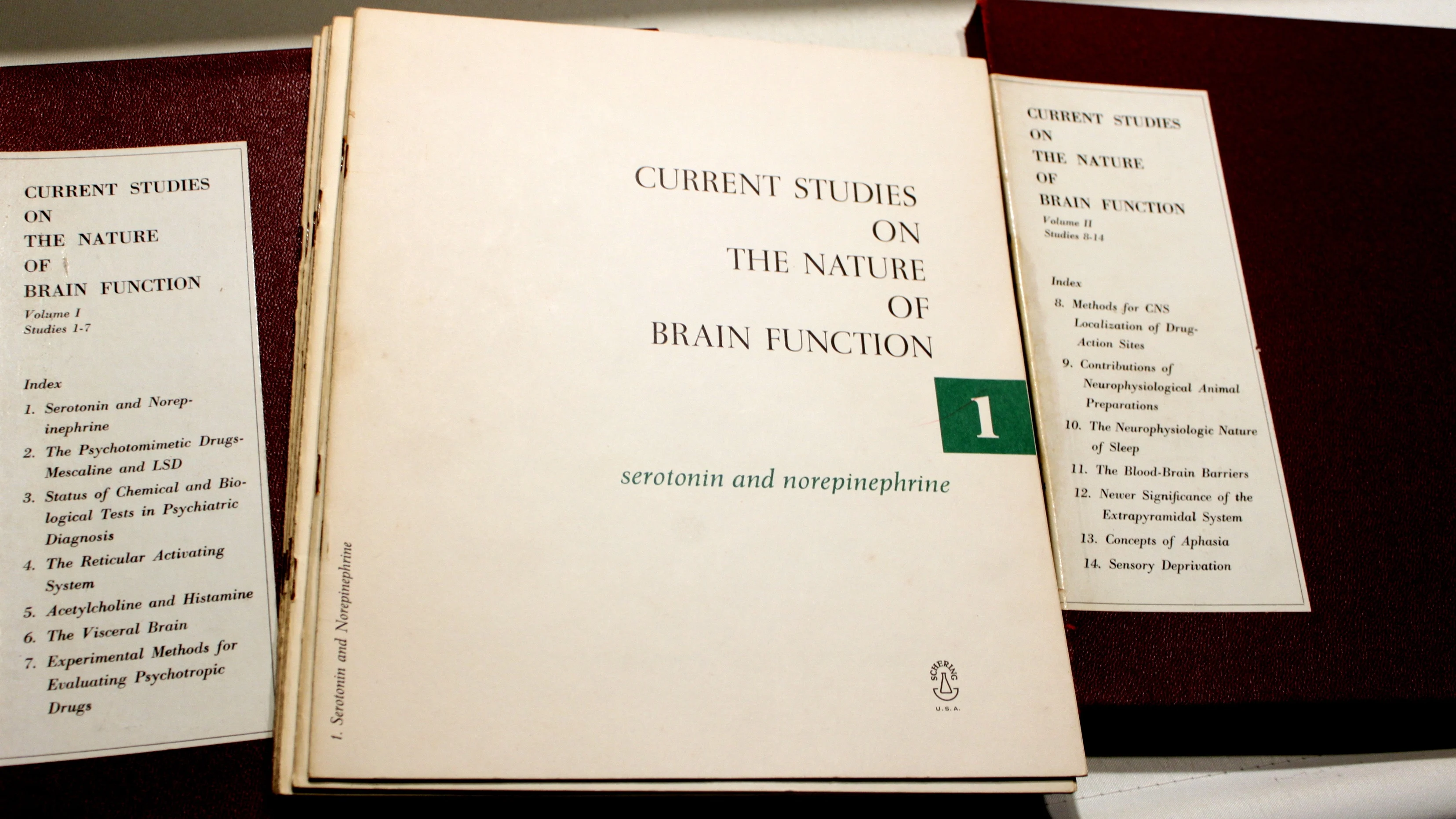Current Studies on the Nature of Brain Function. Valume 1 + 2