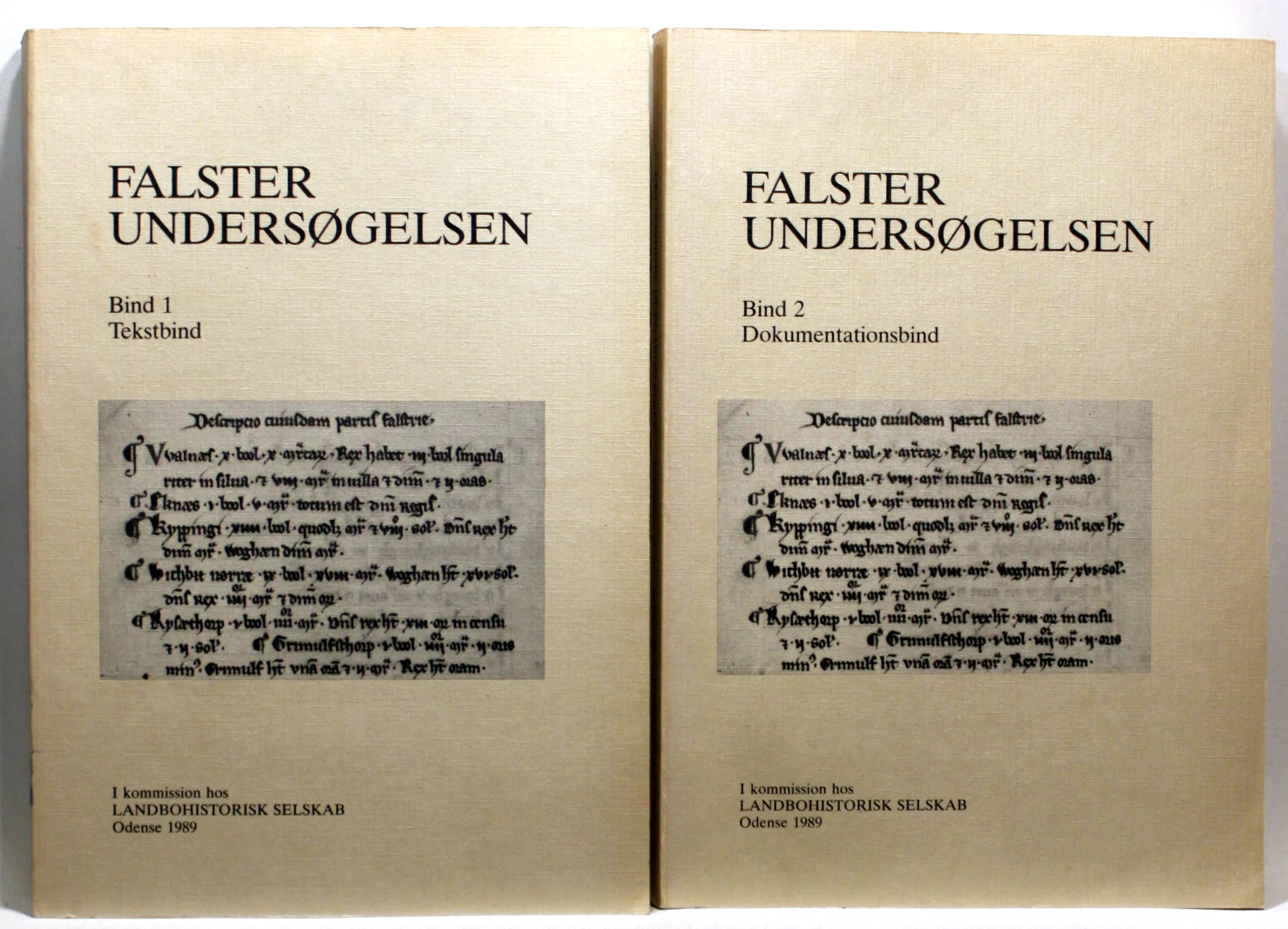 Falsterundersøgelsen. Tekstbind + Dokumentationsbind