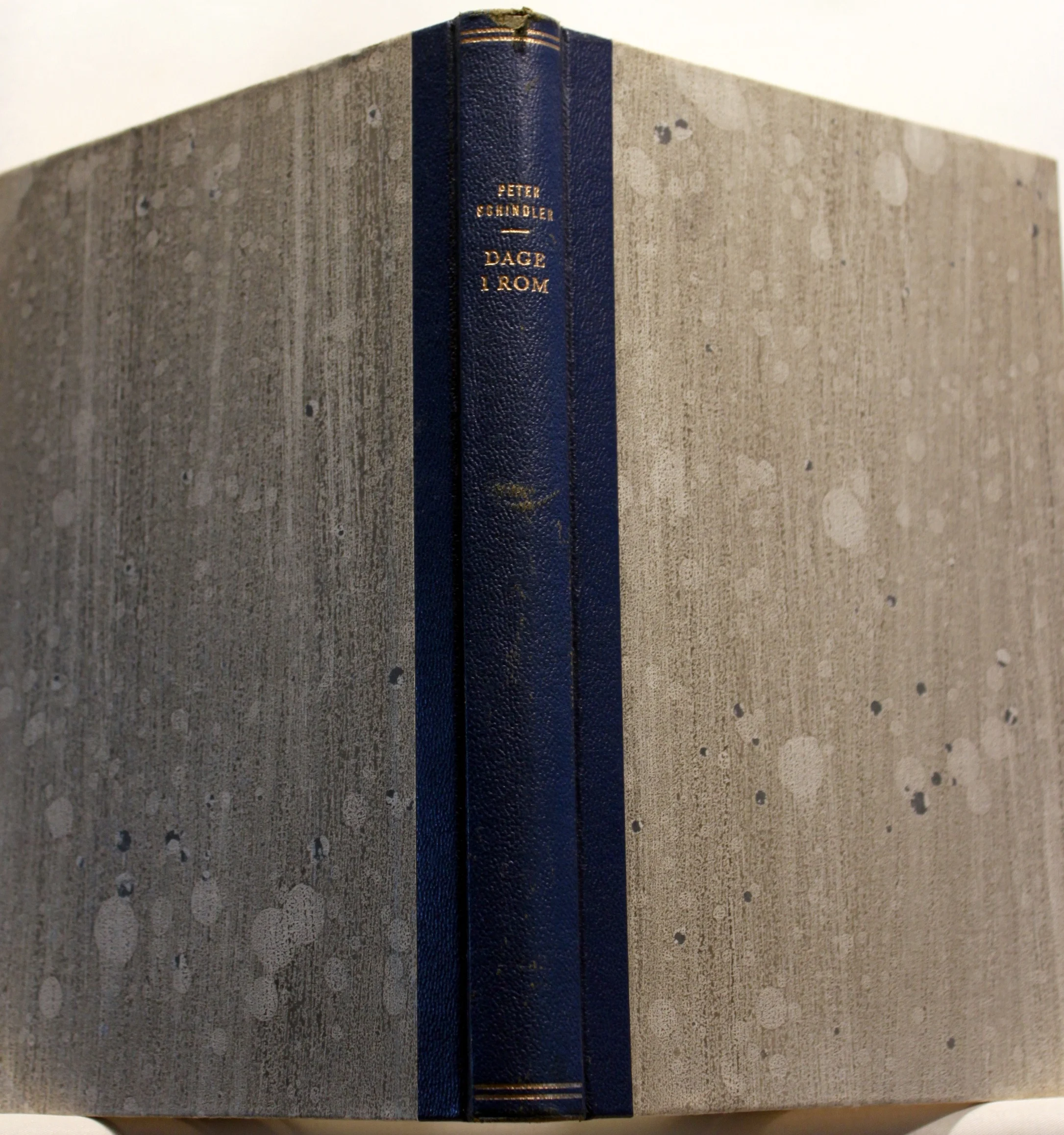 Dage i Rom. En billedbog med text