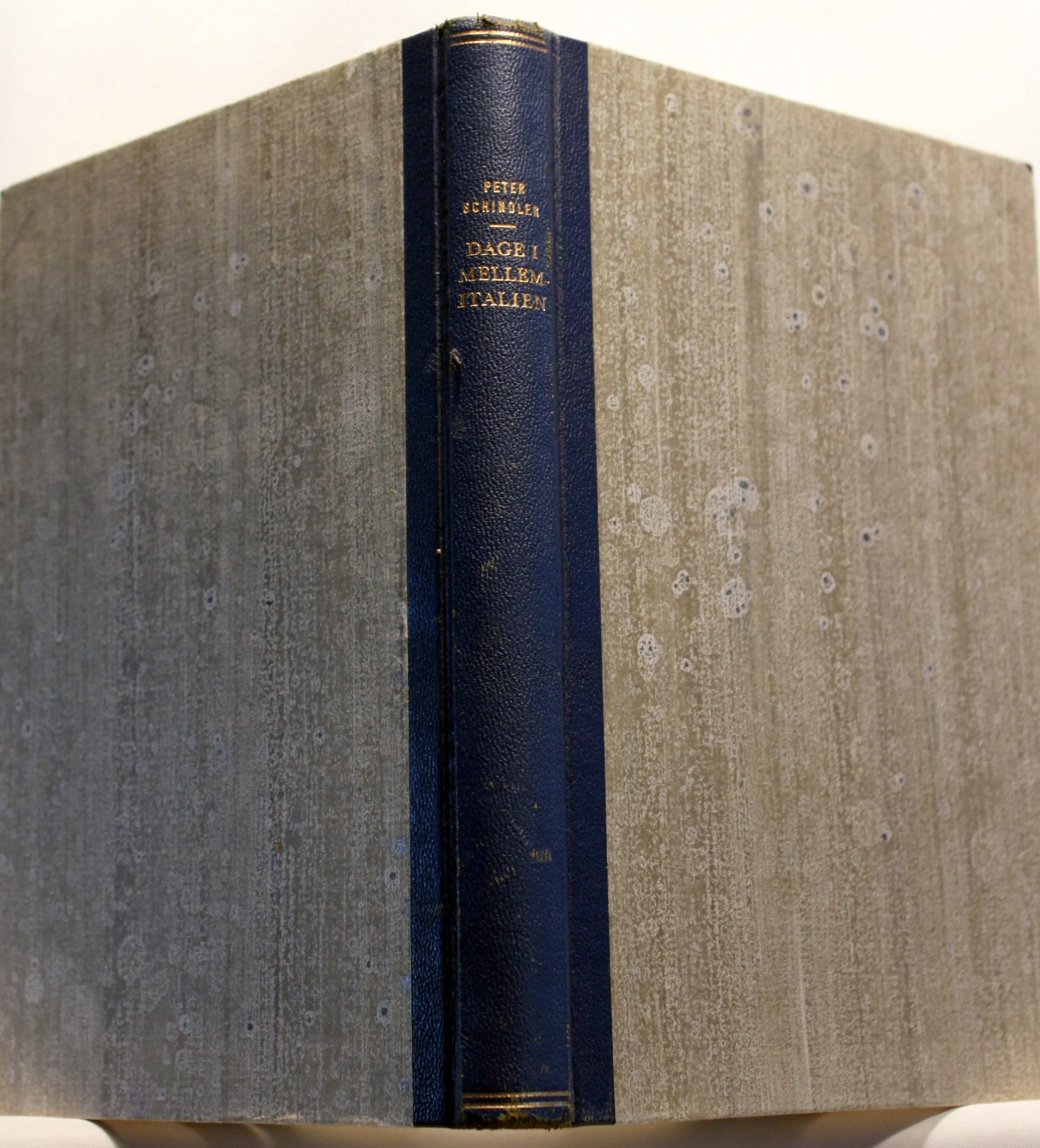 Dage i Mellemitalien