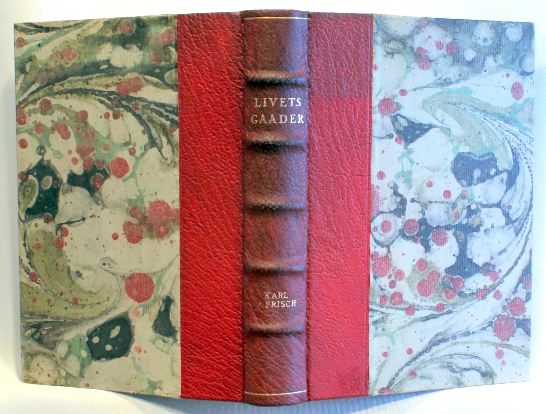 Livets gaader. En almenfattelig moderne biologi