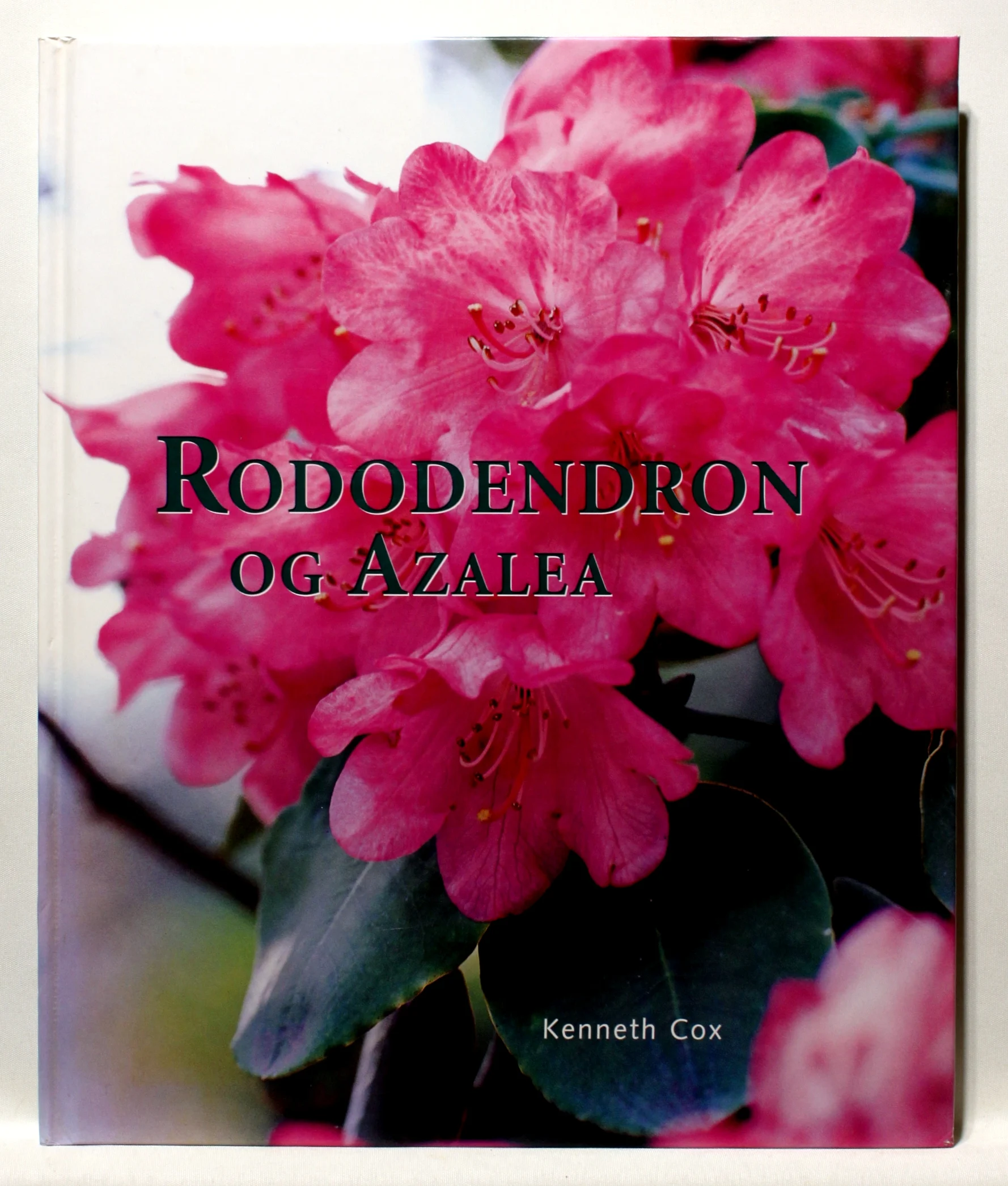 Rododendron og Azalea