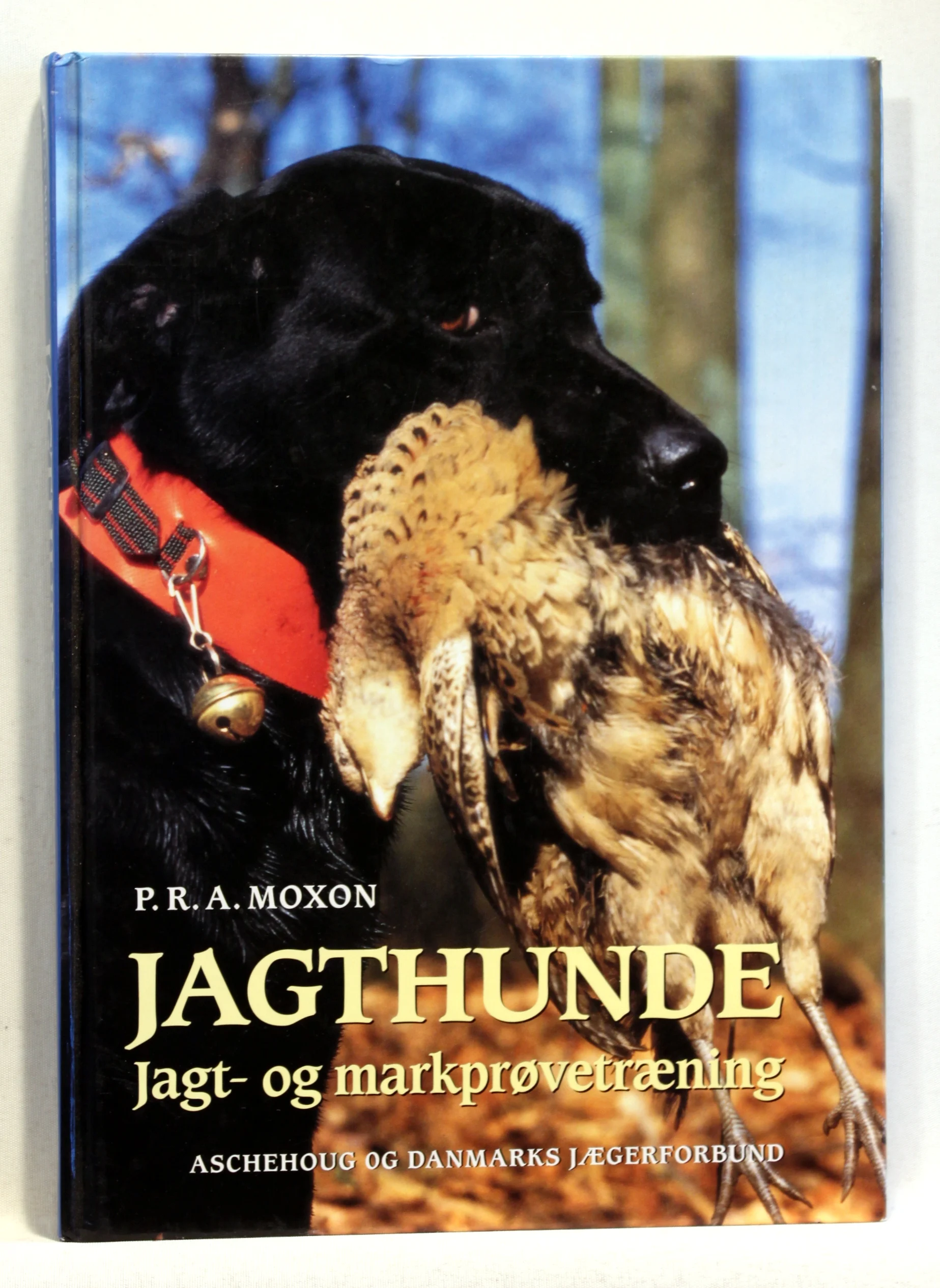 Jagthunde. Jagt- og markprøvetræning