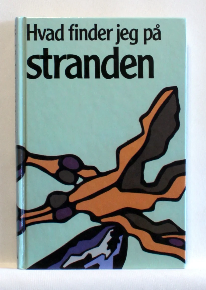 Hvad finder jeg på stranden