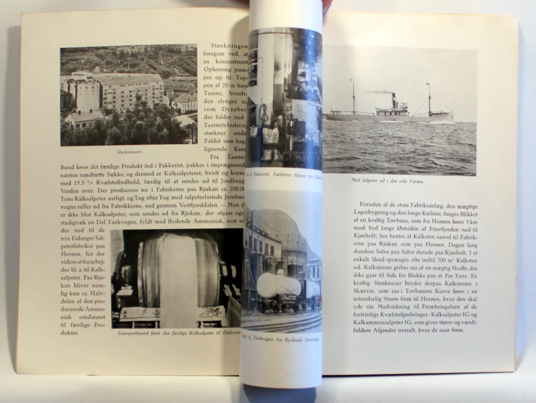 Den Norske Salpeterindustri i tekst og billeder