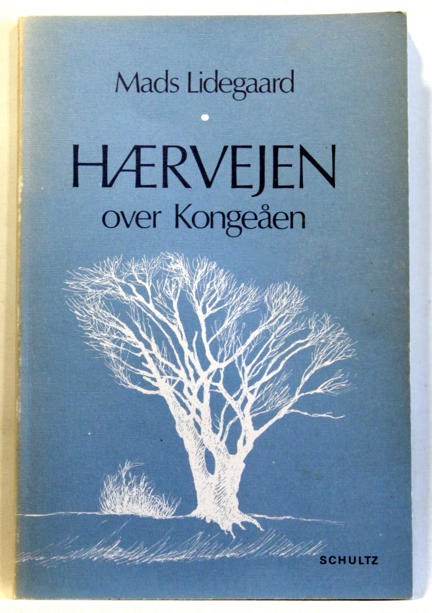 Hærvejen over Kongeåen. Fra Vejle Å til Vojens