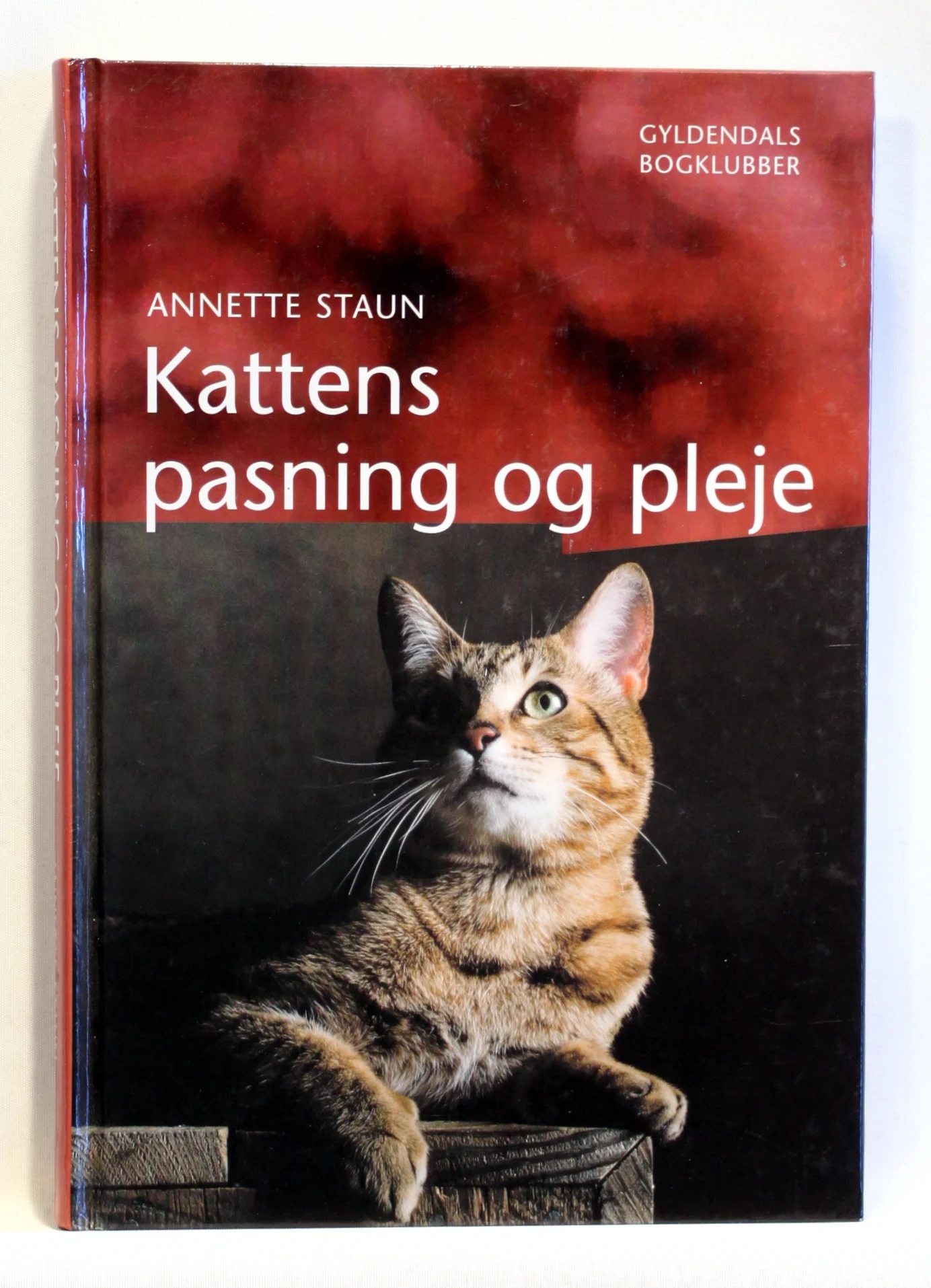 Kattens pasning og pleje