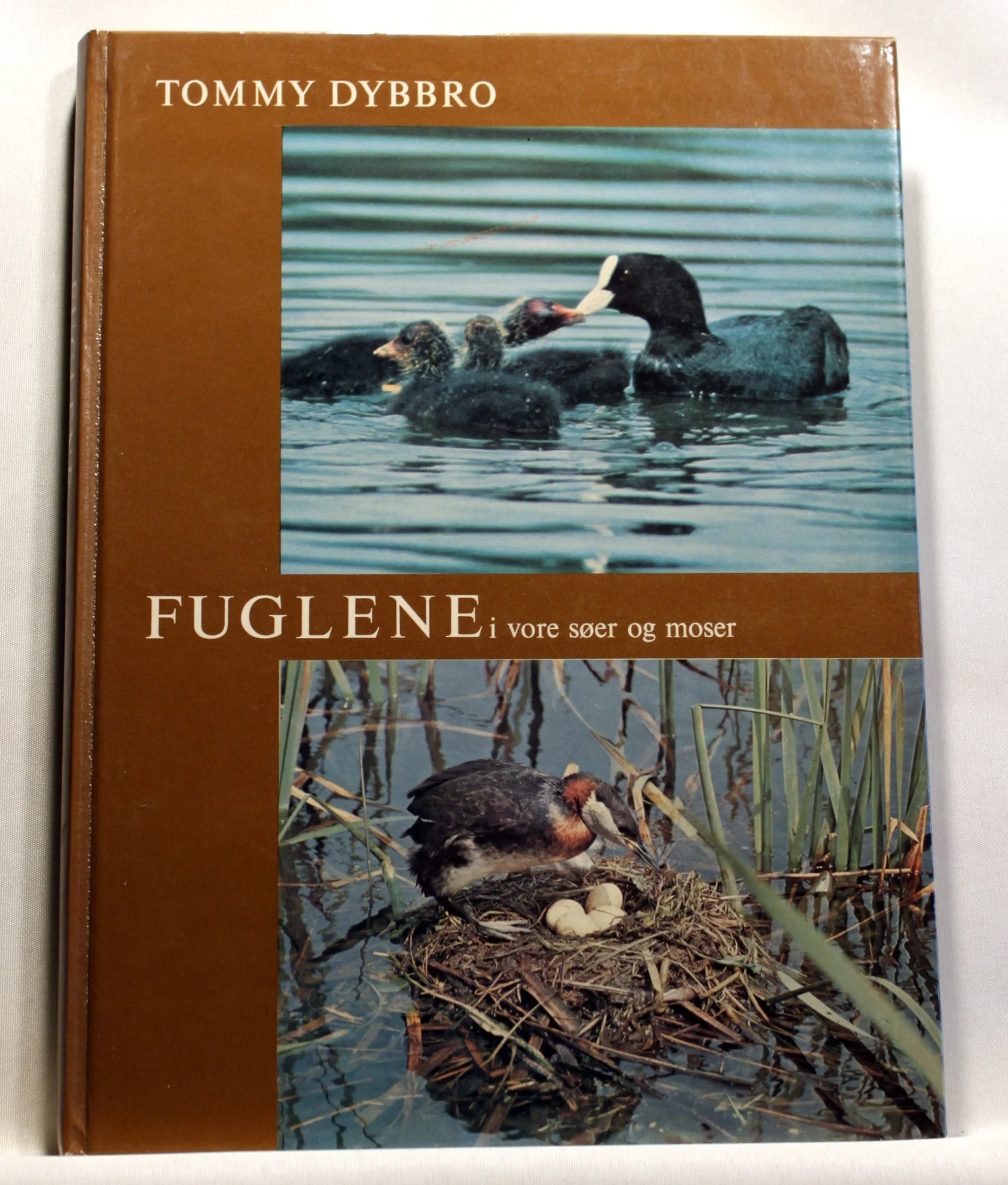 Fuglene i vore søer og moser