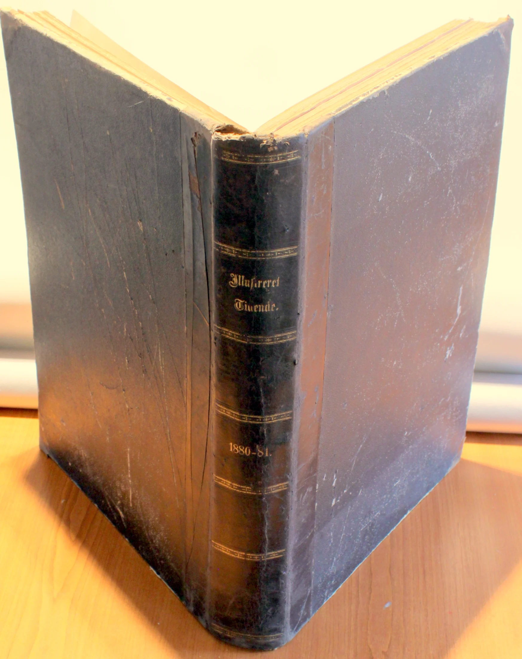 Illustreret Tidende 1880-81