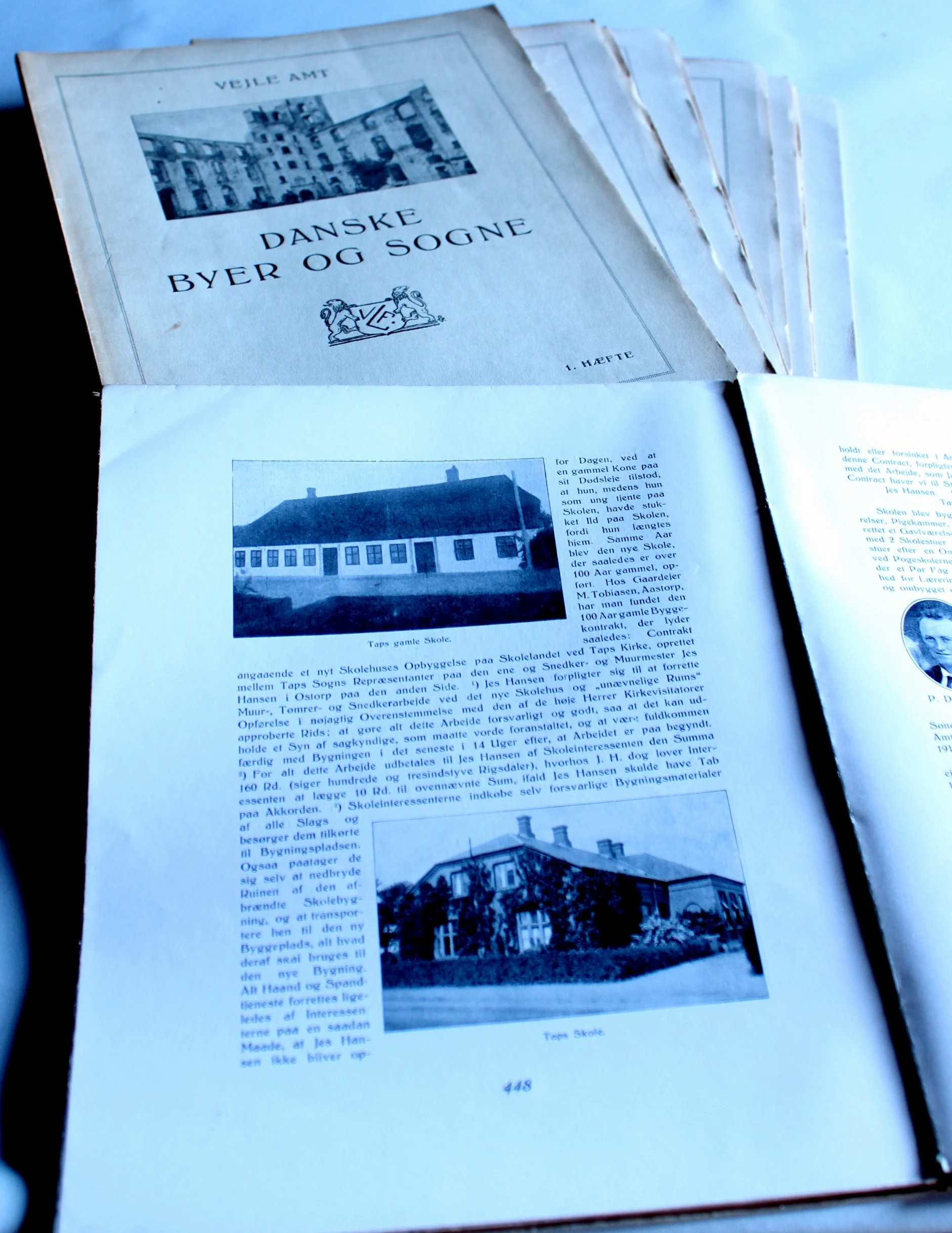 Vejle Amt. Danske byer og sogne. Historiske og personalhistoriske oplysninger om land og by