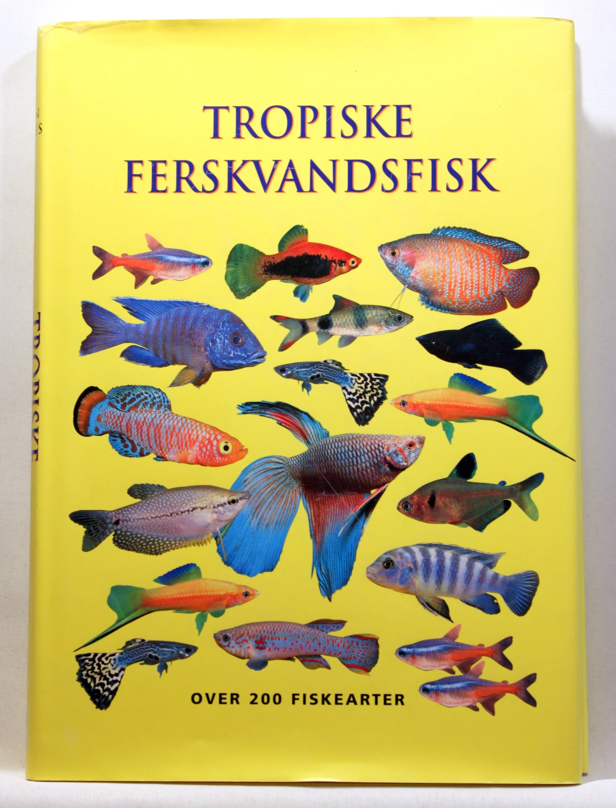 Tropiske ferskvandsfisk