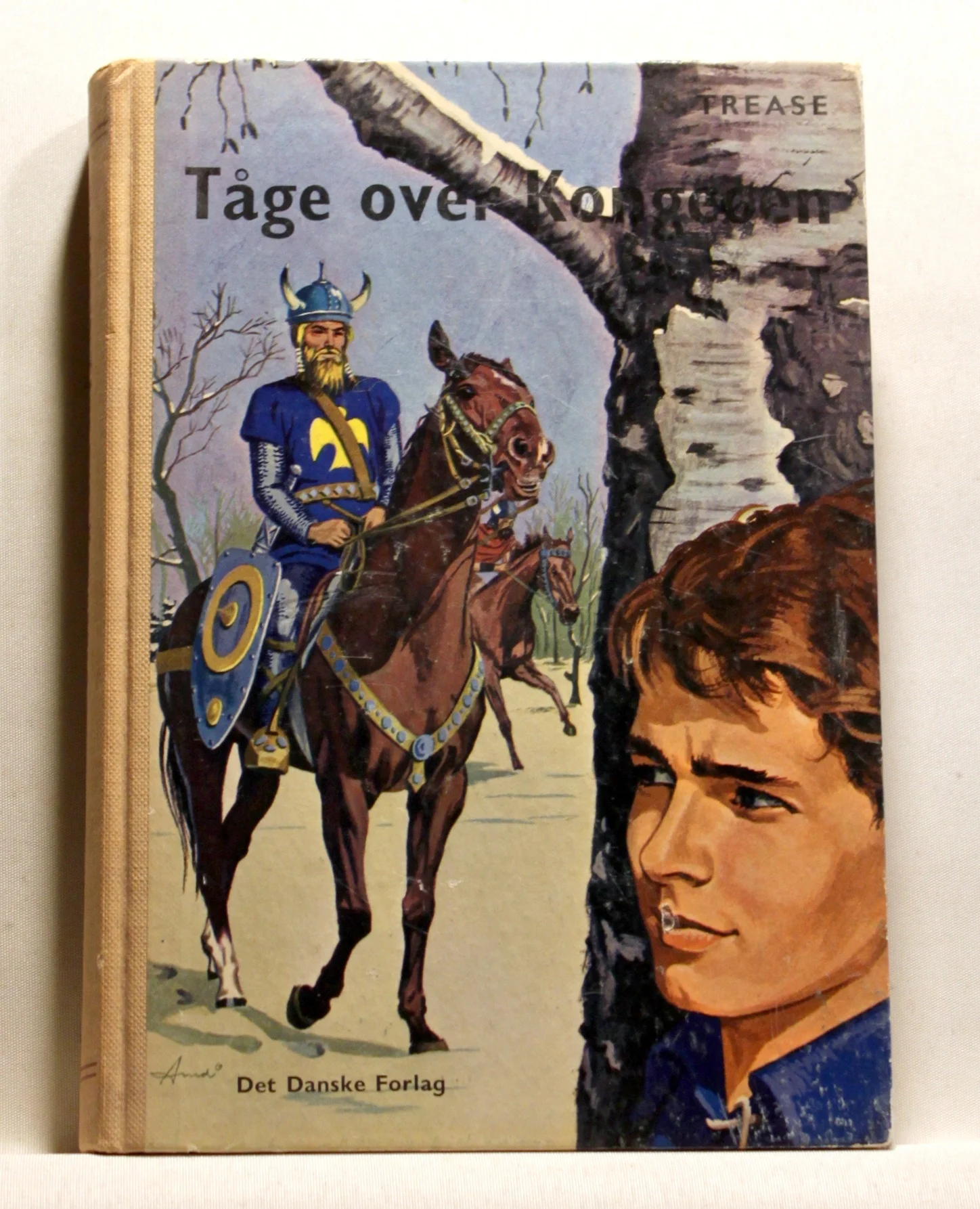 Tåge over Kongeøen