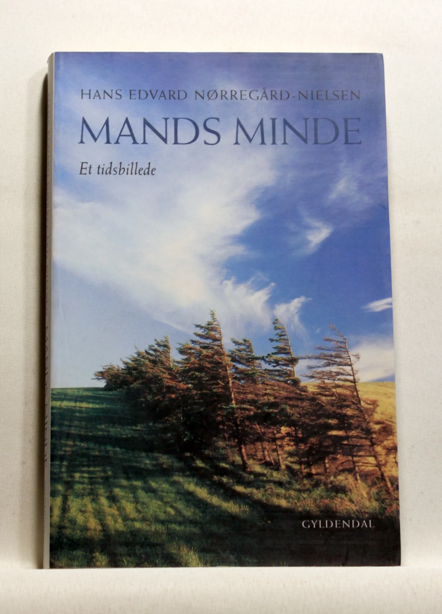 Mands minde – et tidsbillede