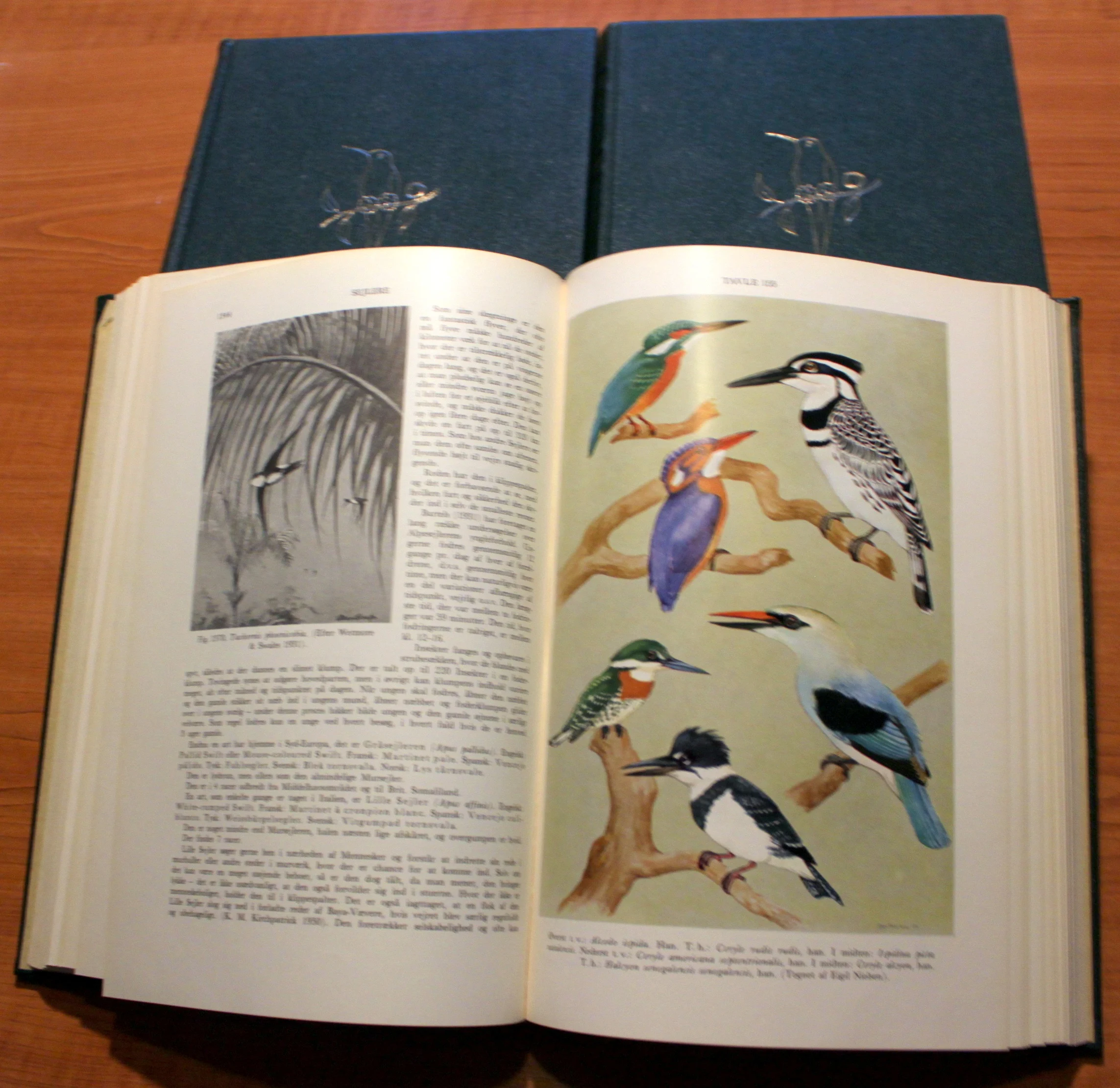 Dyrenes Verden. Fugle. 3 Bind