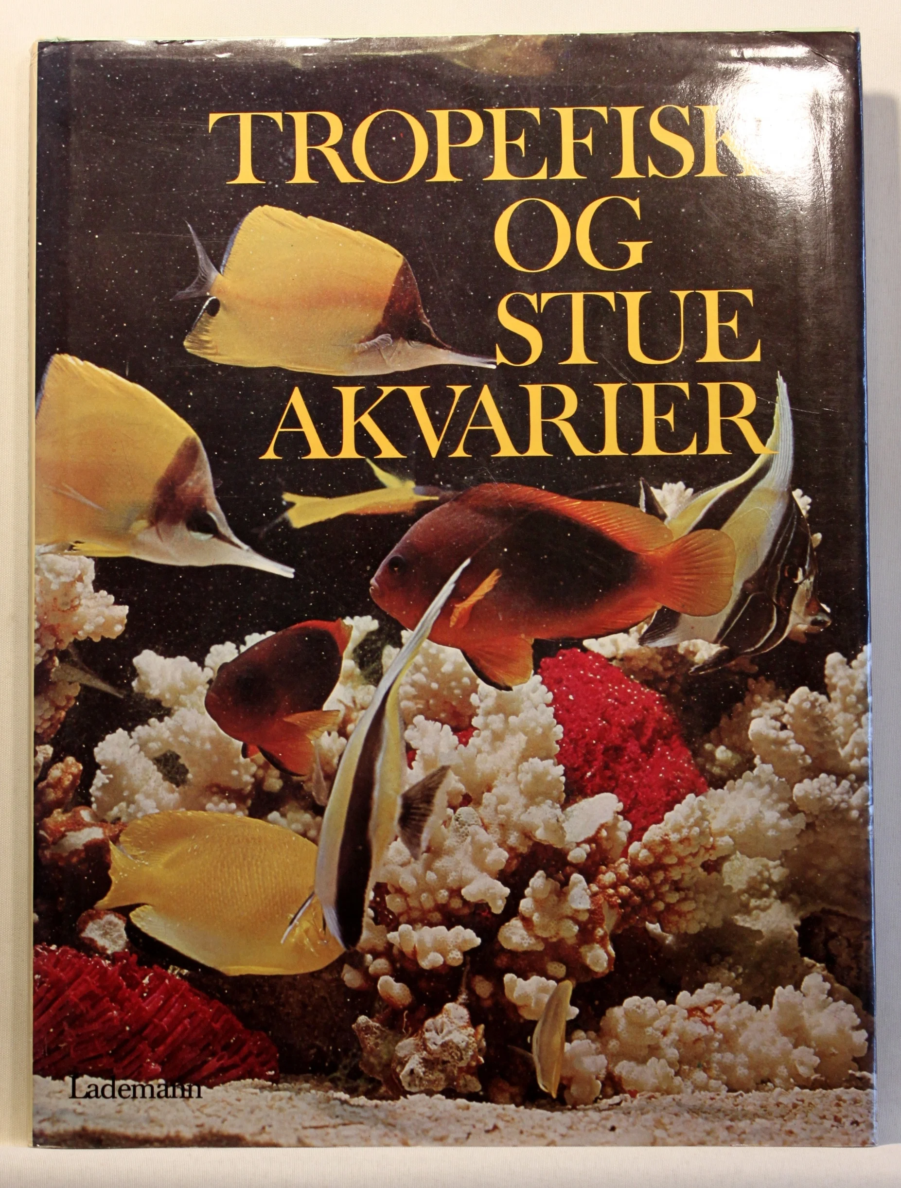 Tropefisk og stueakvarier