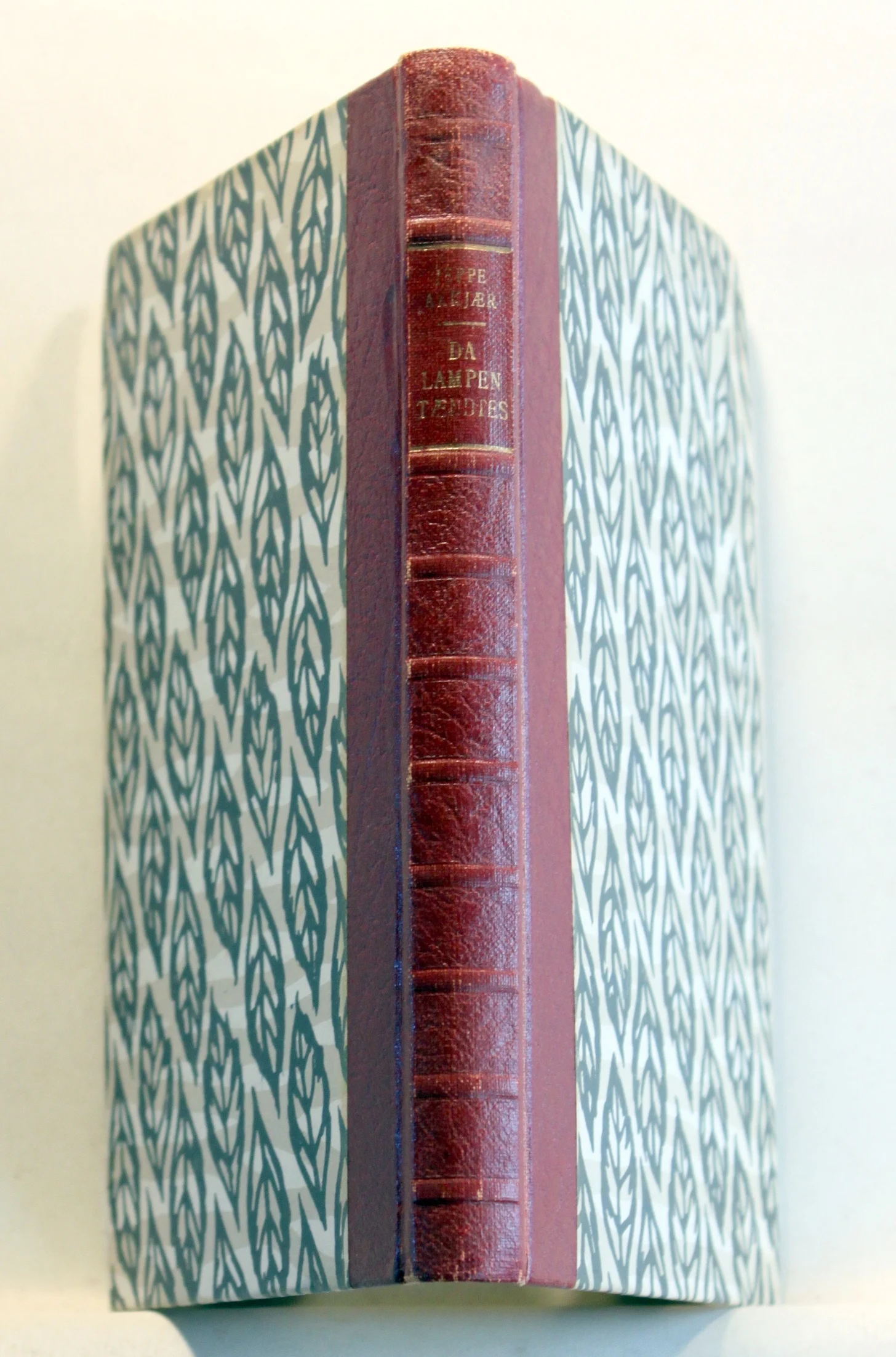 Da lampen tændtes og andre jyske fortællinger