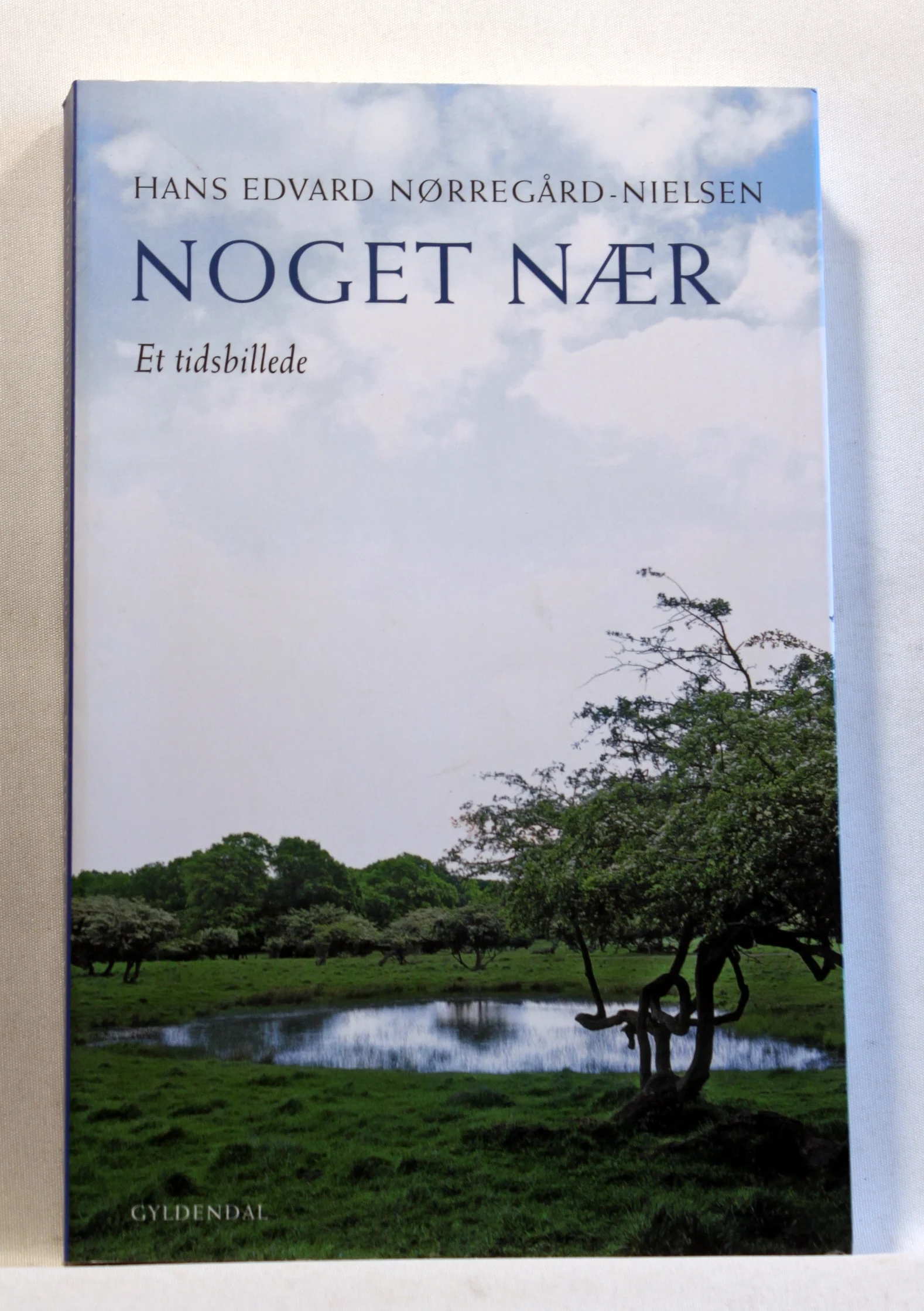 Noget nær. Et Tidsbillede
