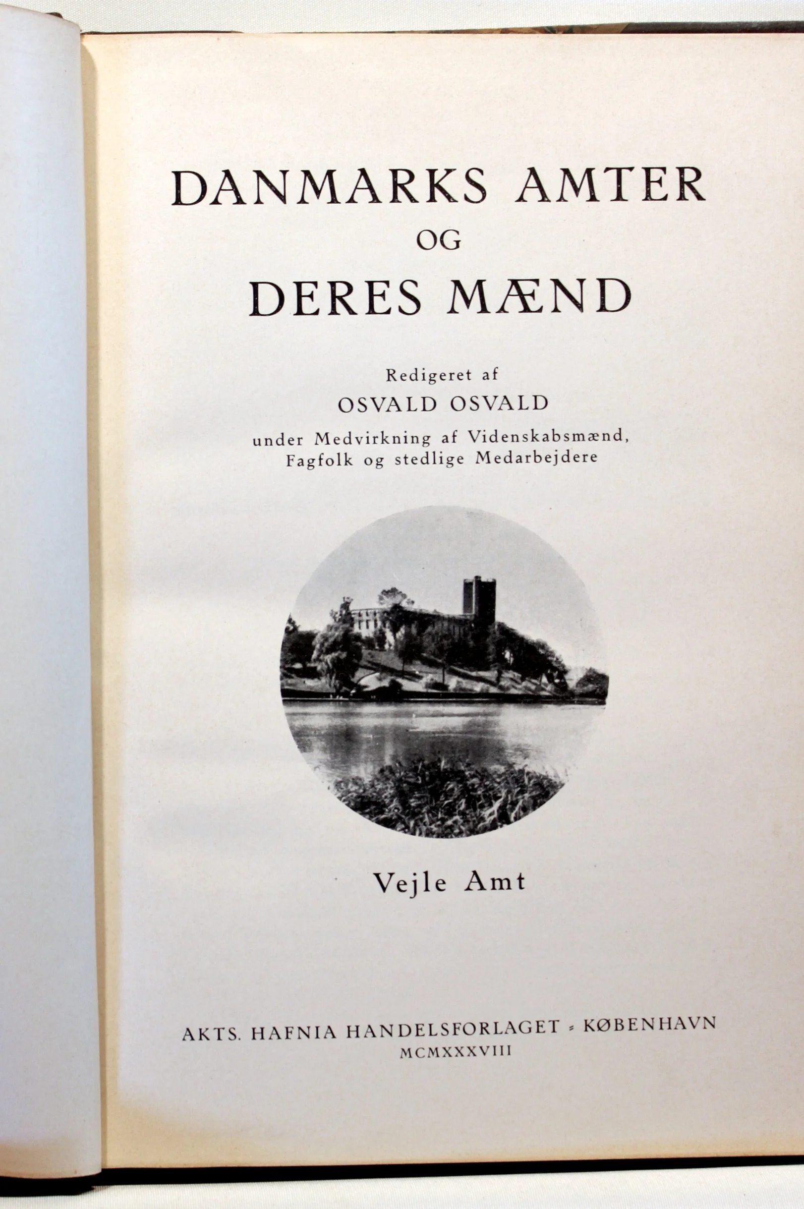 Danmarks Amter og deres mænd. Vejle, Ribe og Ringkøbing Amter