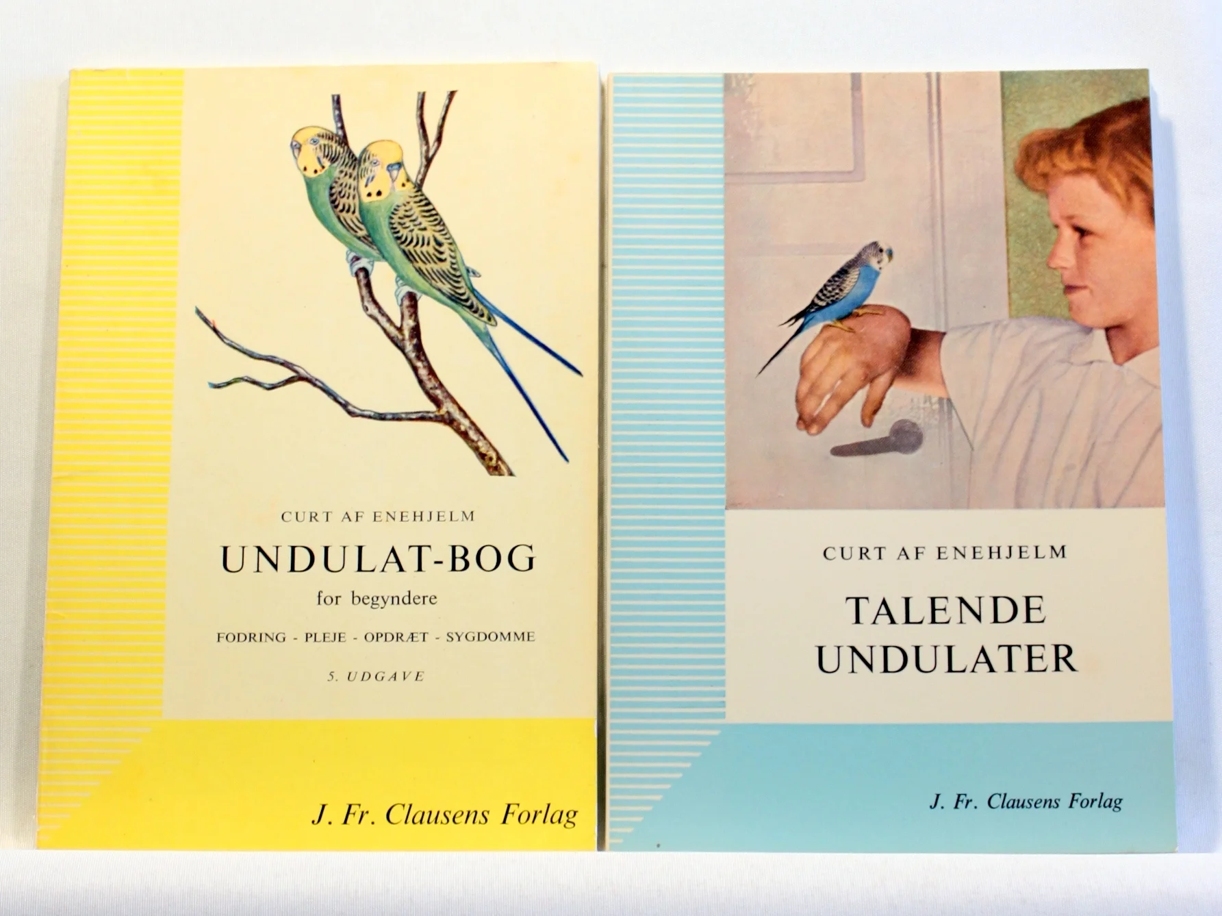 Undulatbog for begyndere. Talende Undulater