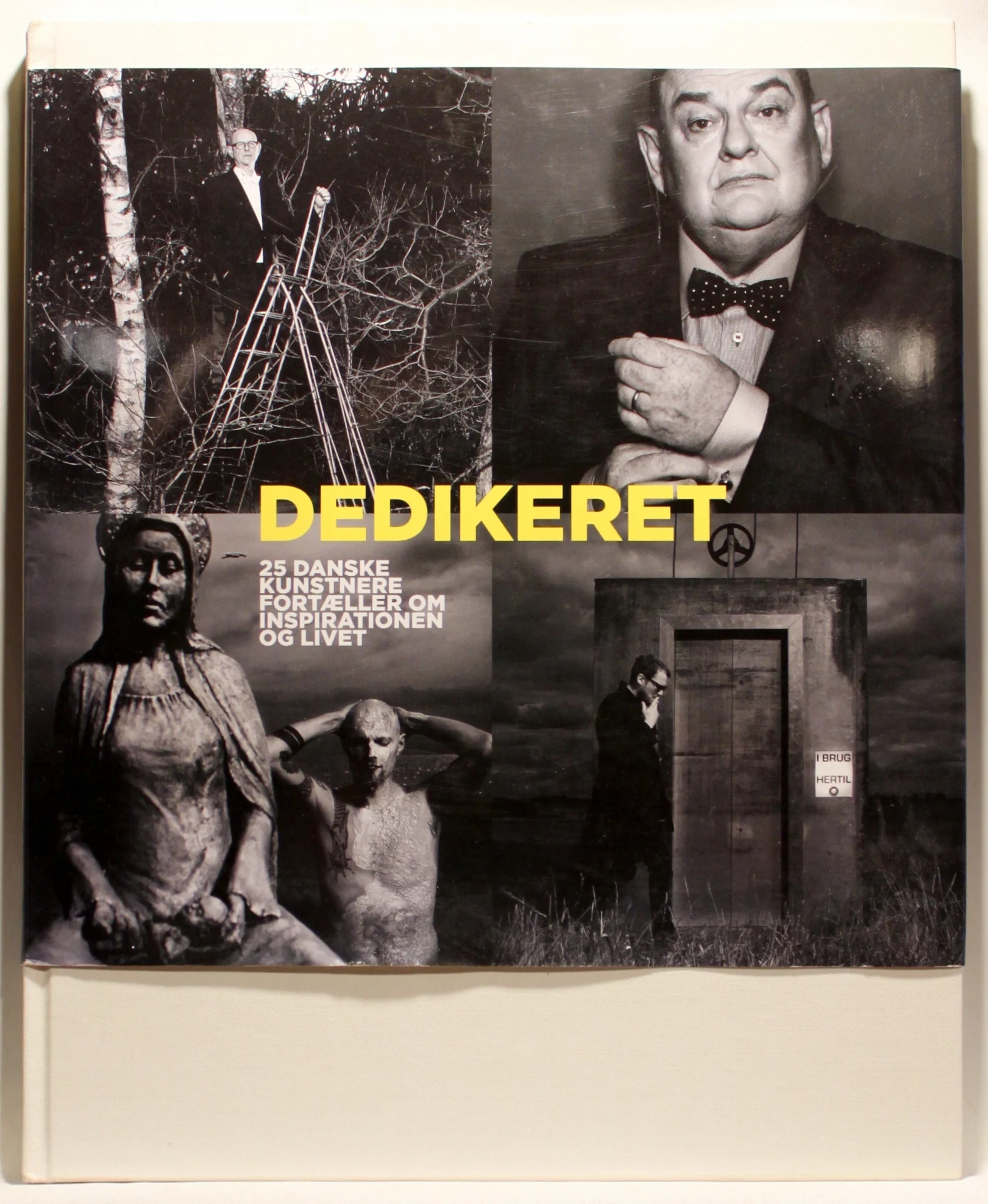 Dedikeret – 25 Danske kunsnere fortæller om inspirationen og livet