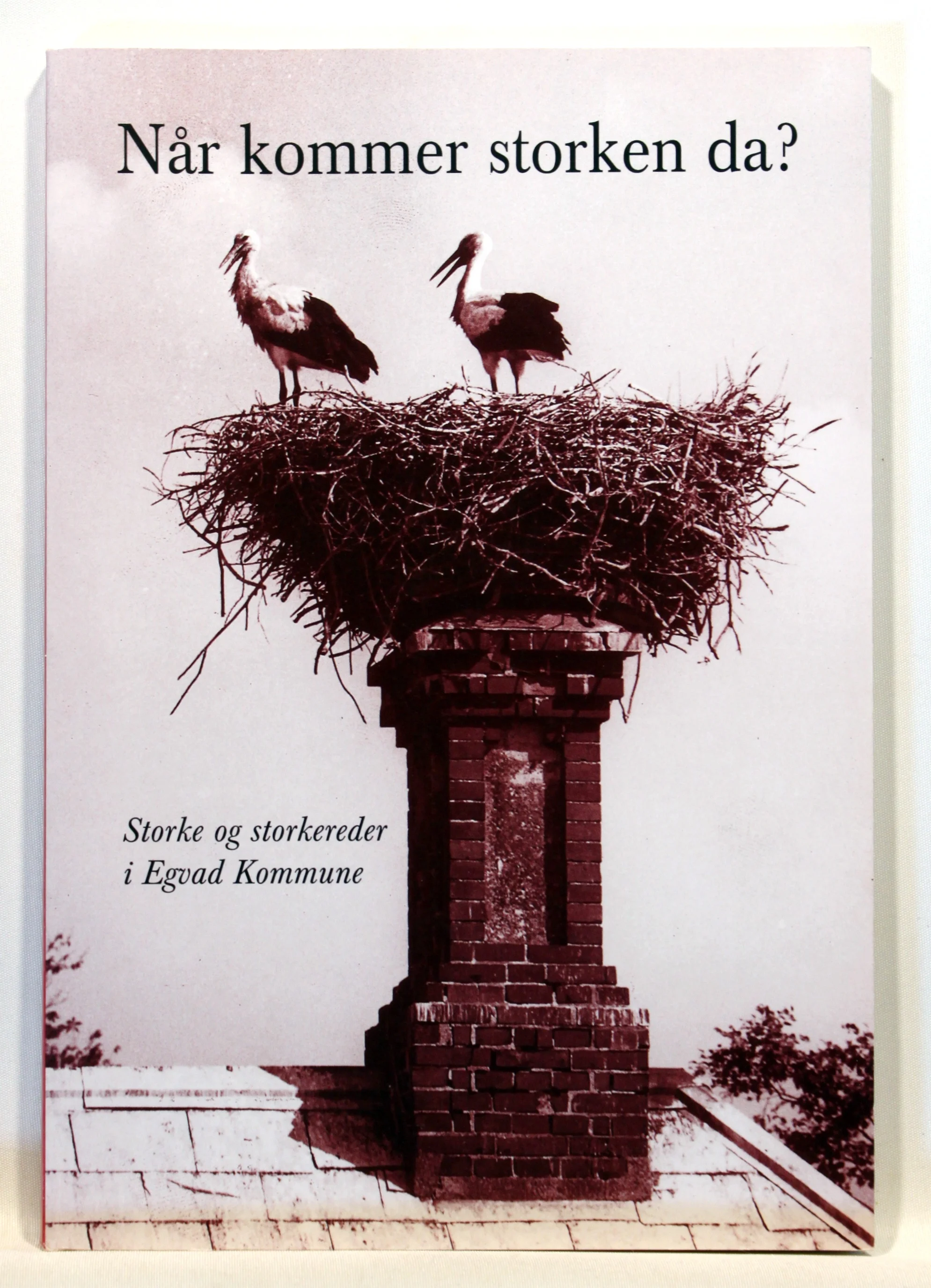 Når kommer storken da? – storke og storkereder i Egvad Kommune