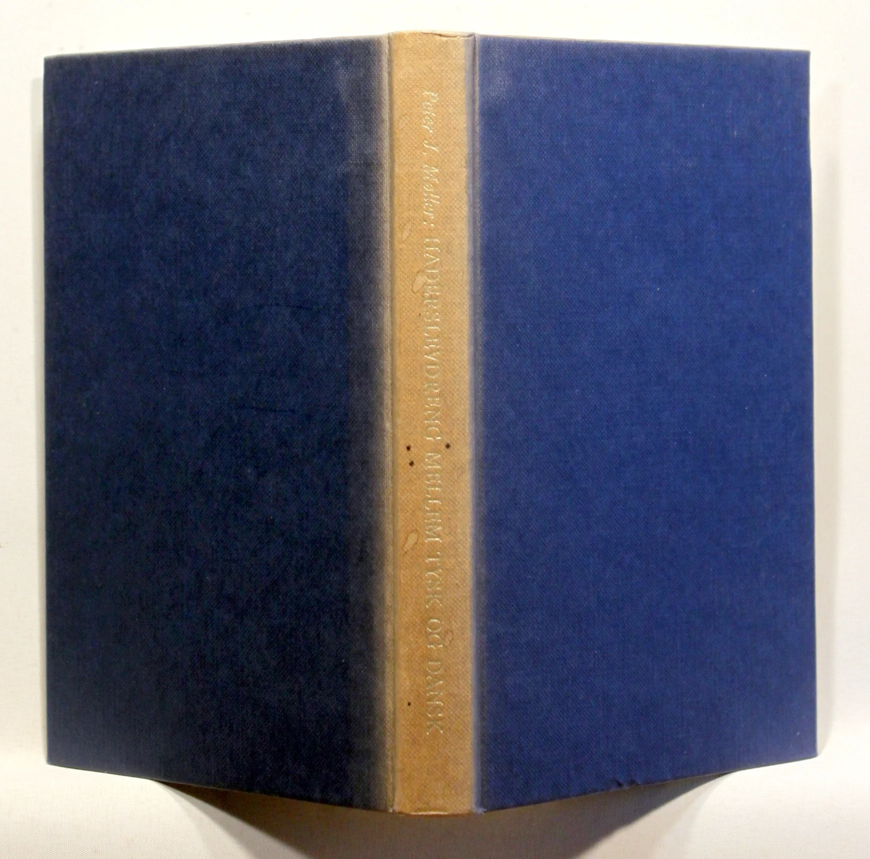 Haderslevdreng mellem tysk og dansk