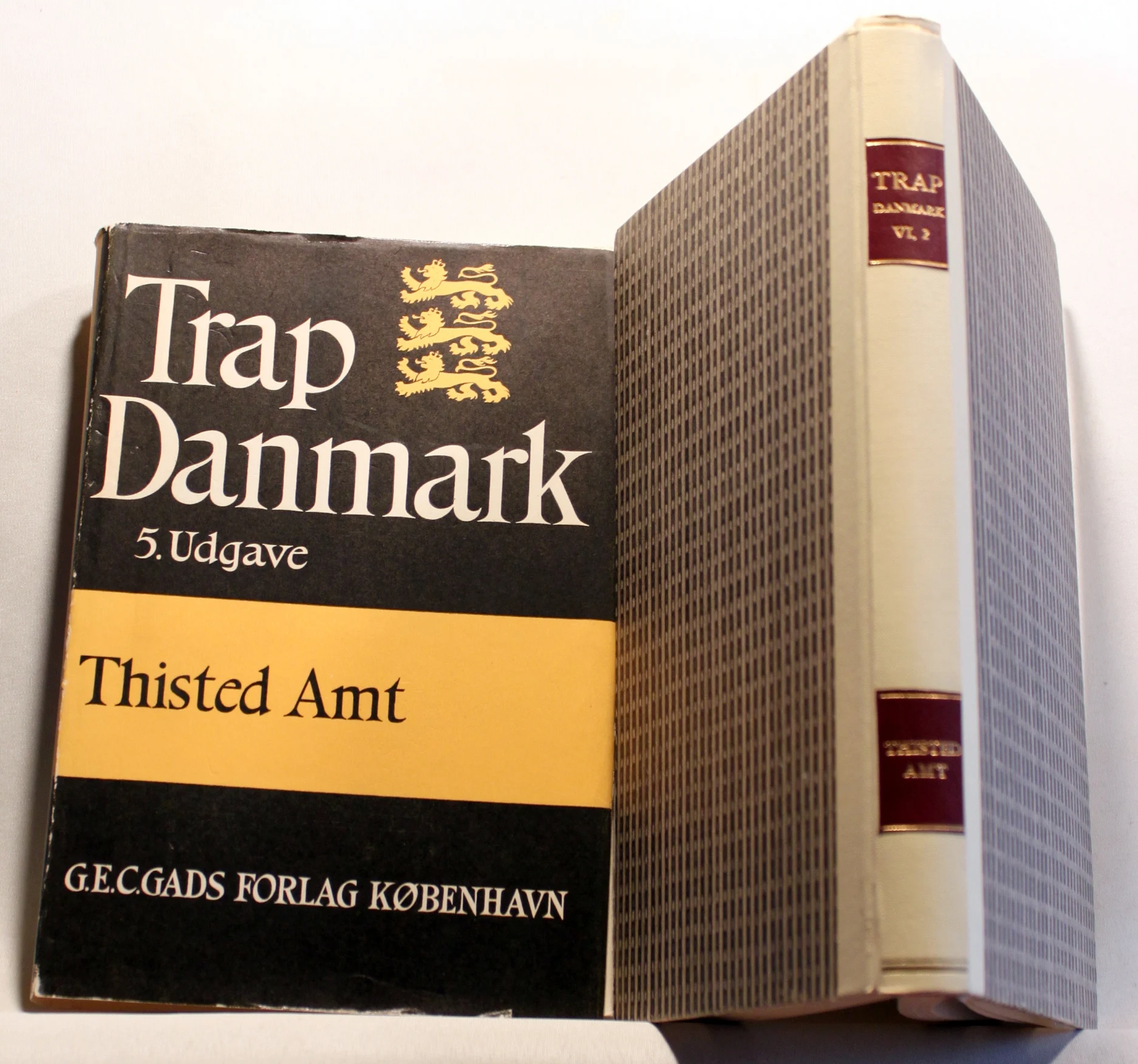 Trap Danmark. Thisted Amt