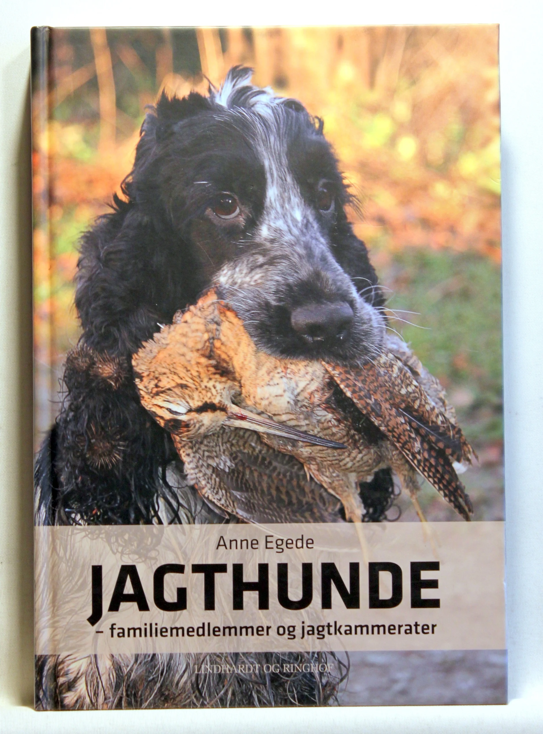 Jagthunde – familiemedlemmer og jagtkammerater