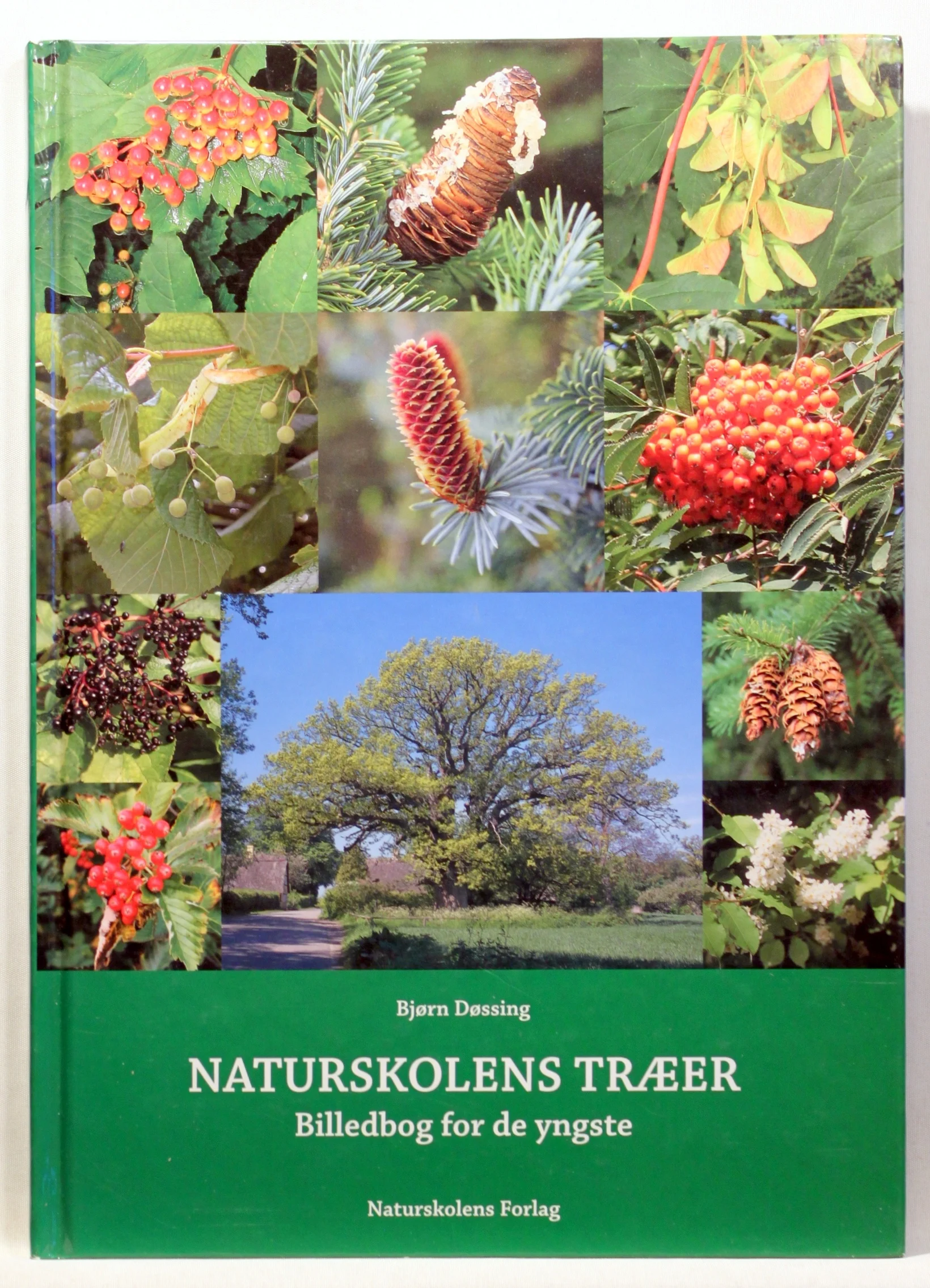 Naturskolens træer. Billedbog for de yngste