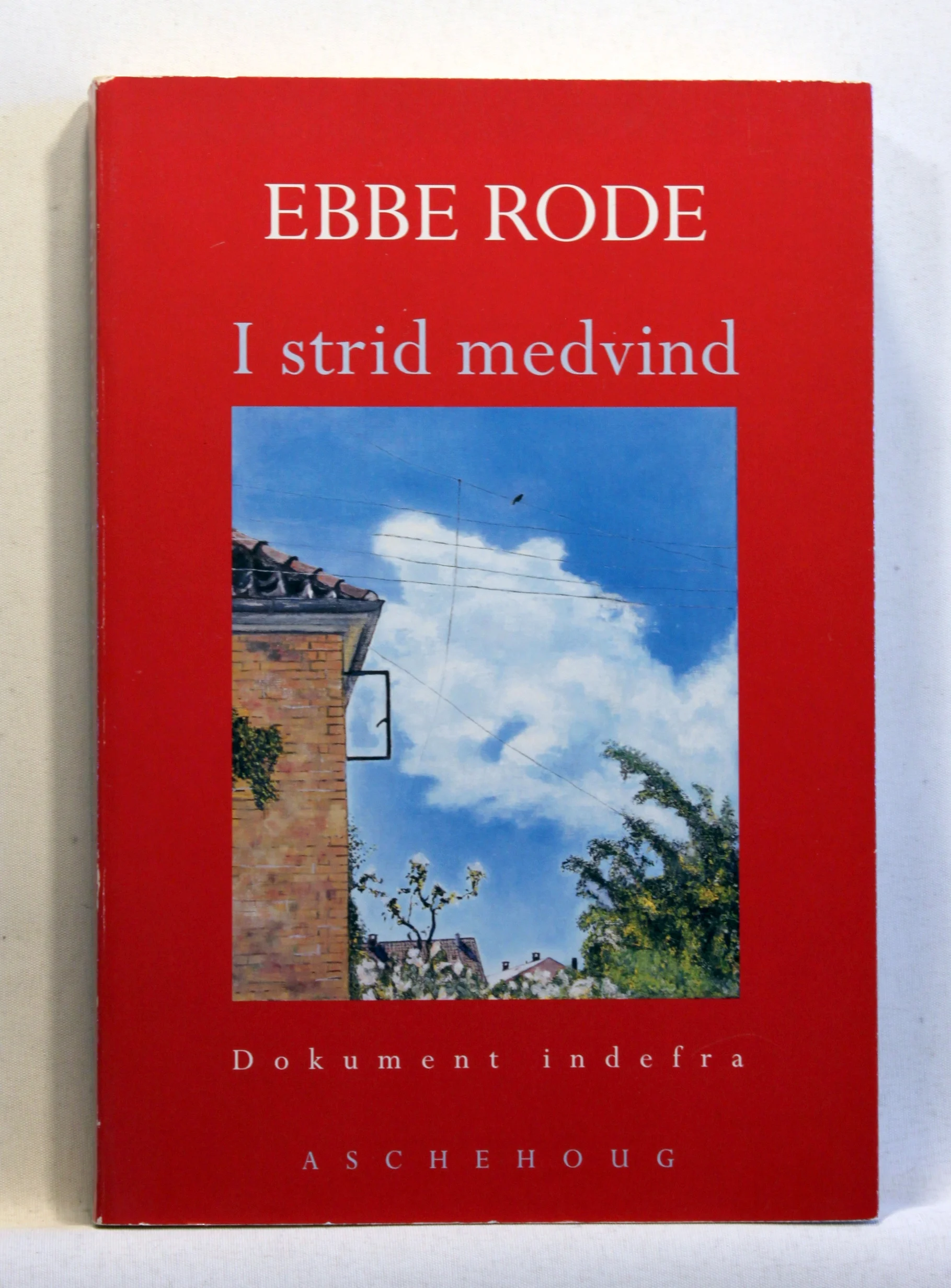 I strid medvind. Dokument indefra