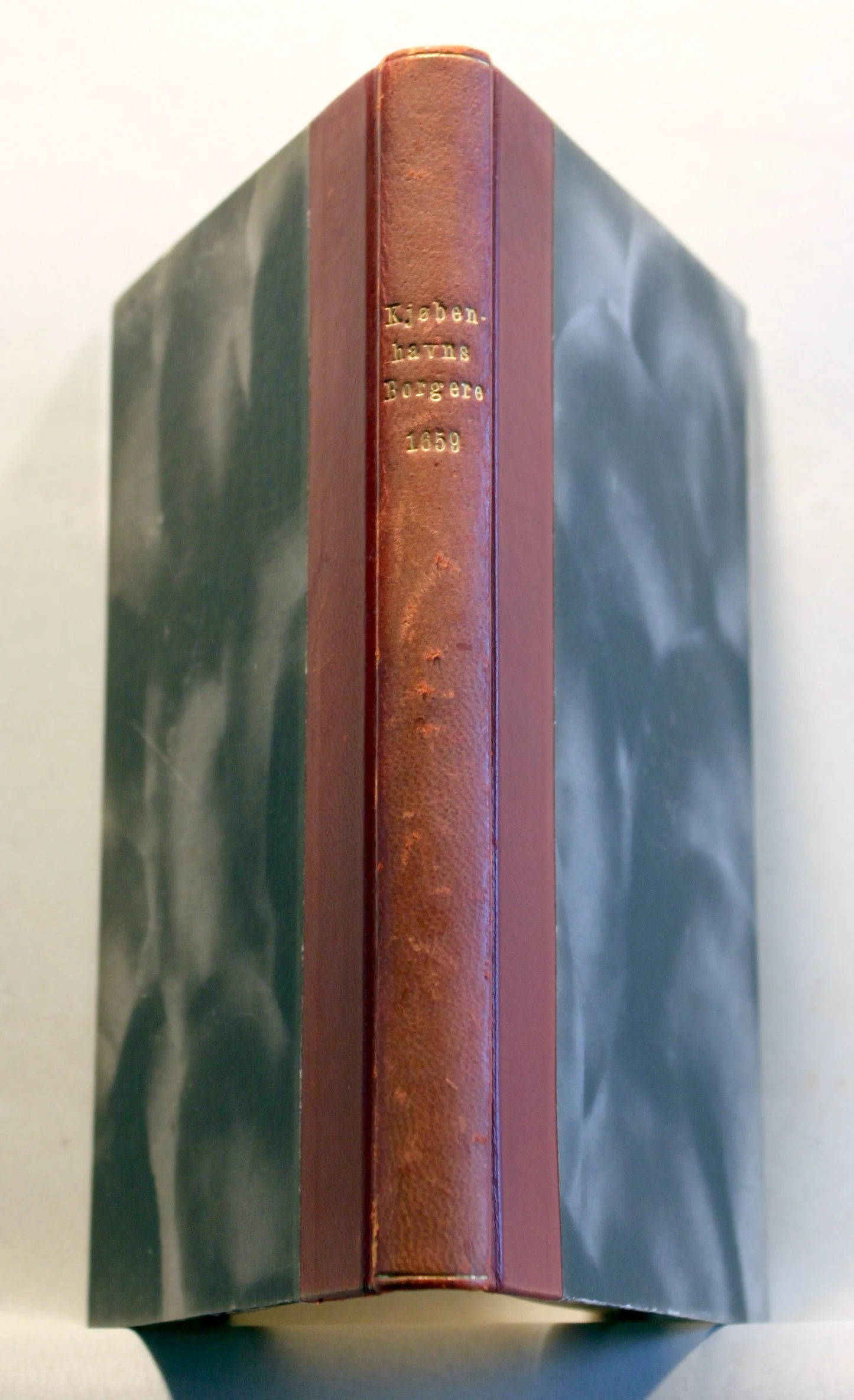 Kjøbenhavns Borgere 1659