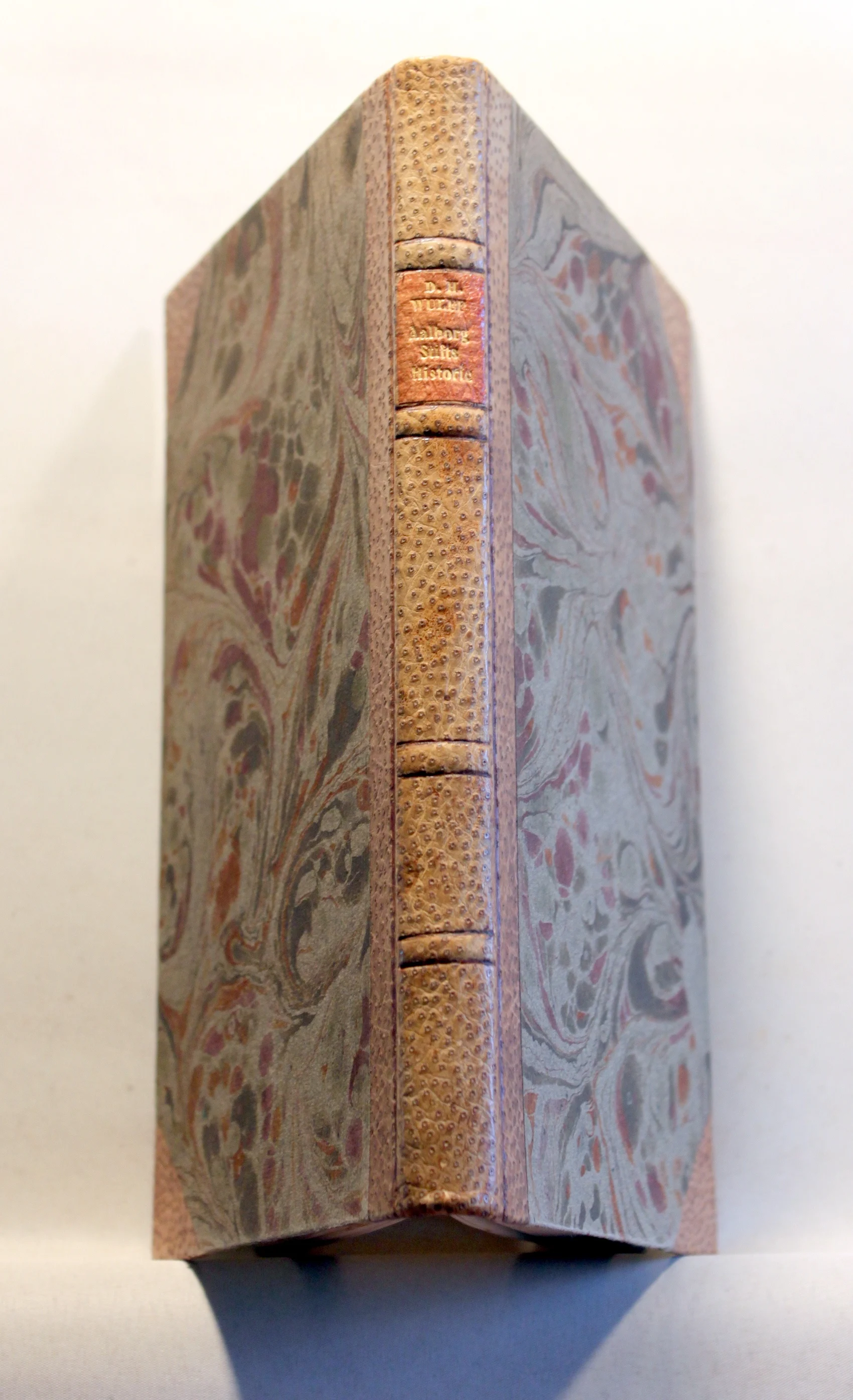 Statistiske Bidrag til Aalborg Stifts Historie i Slutningen af det 17de Aarhundrede