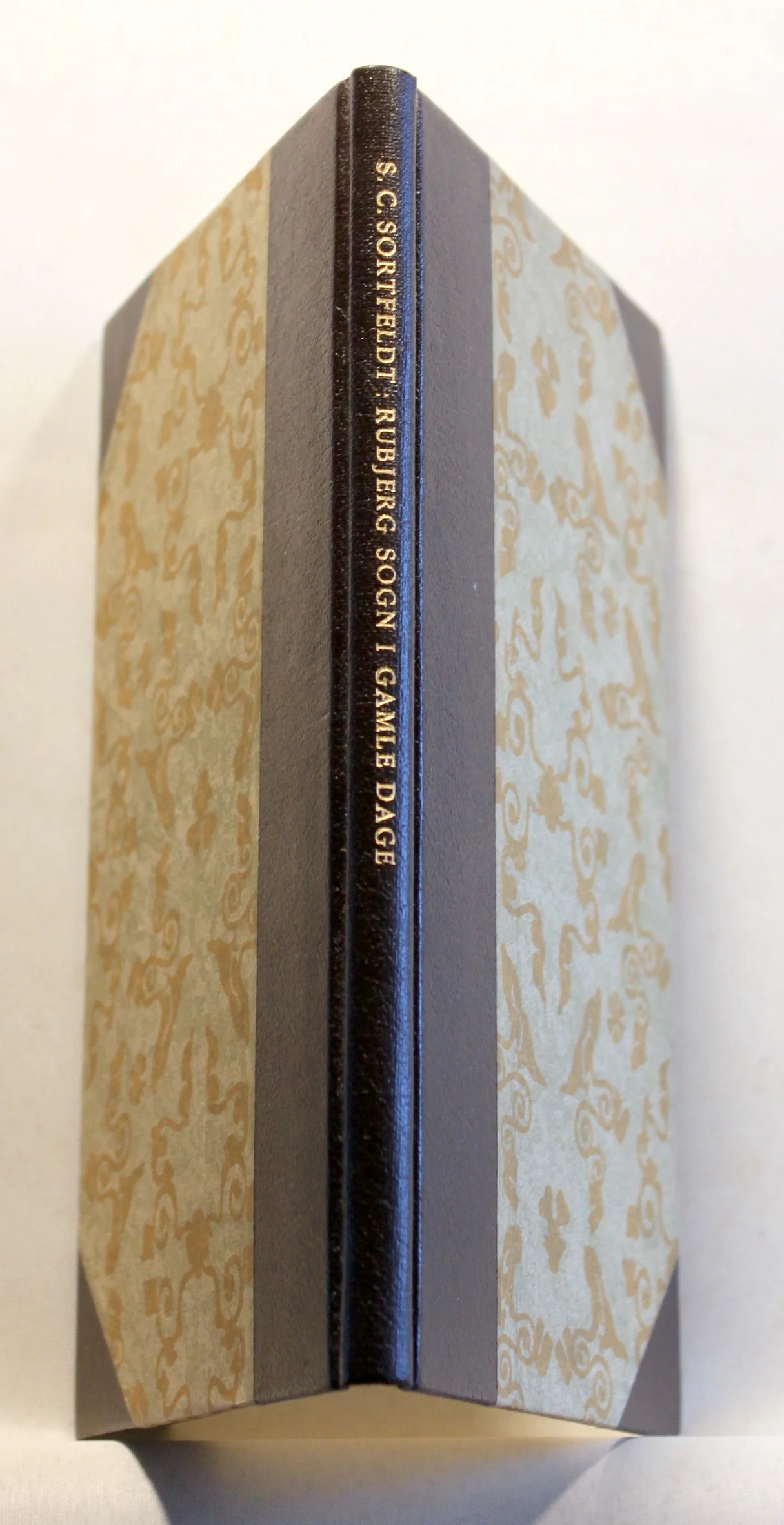 Rubjerg Sogn i gamle Dage. En historisk topografisk Beskrivelse