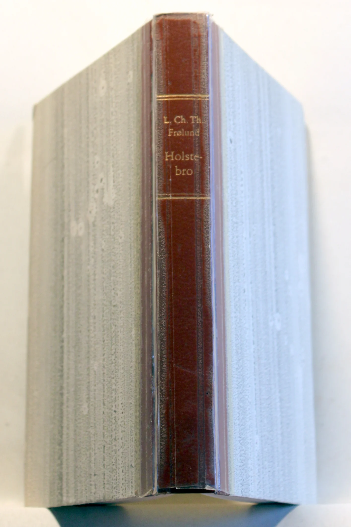 Holstebro en historisk, topografisk og statistisk købstadsbeskrivelse 1871