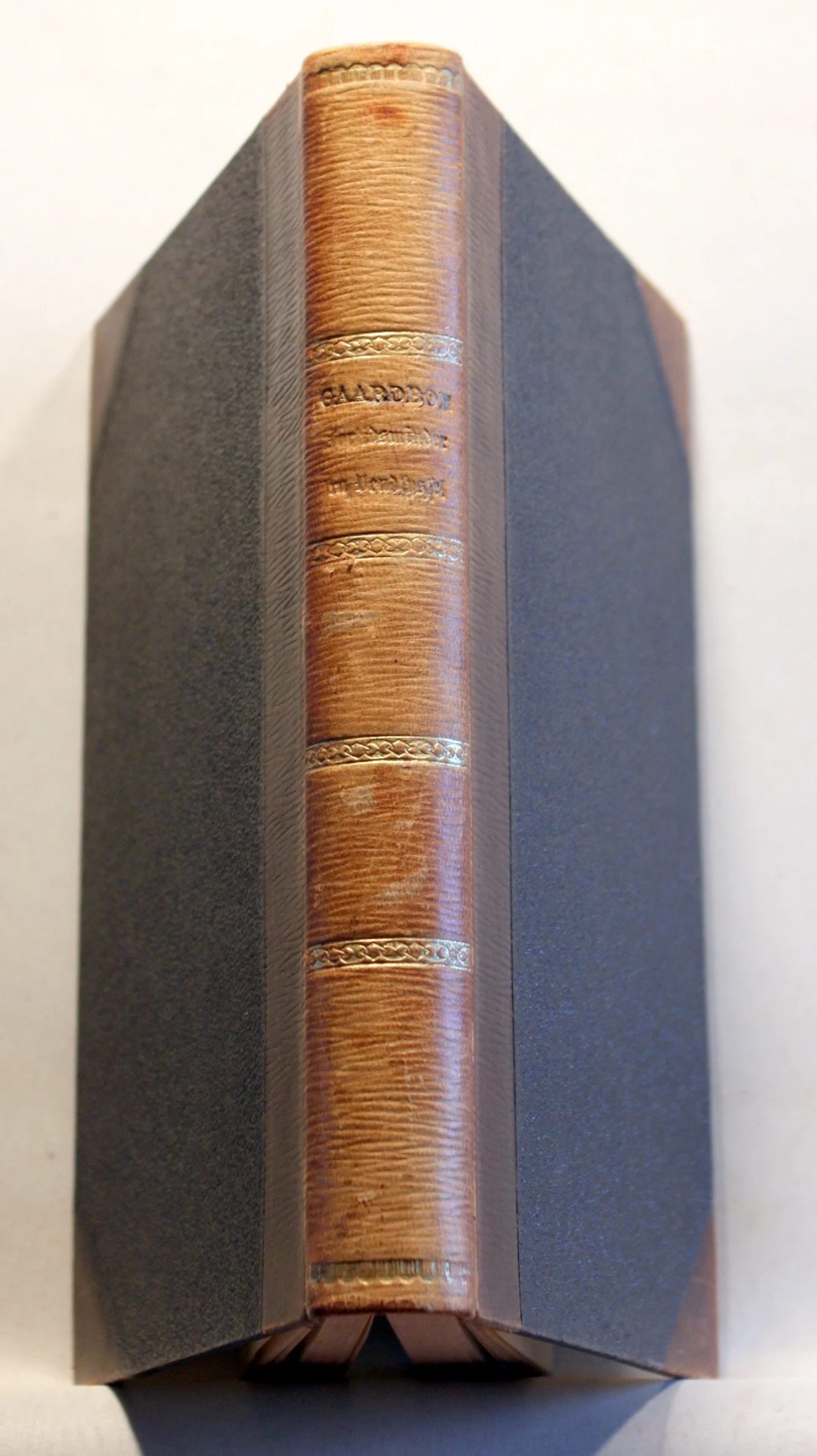 Fortidsminder i Vendsyssel. Historisk – topografiske og kulturhistorisk Brudstykker