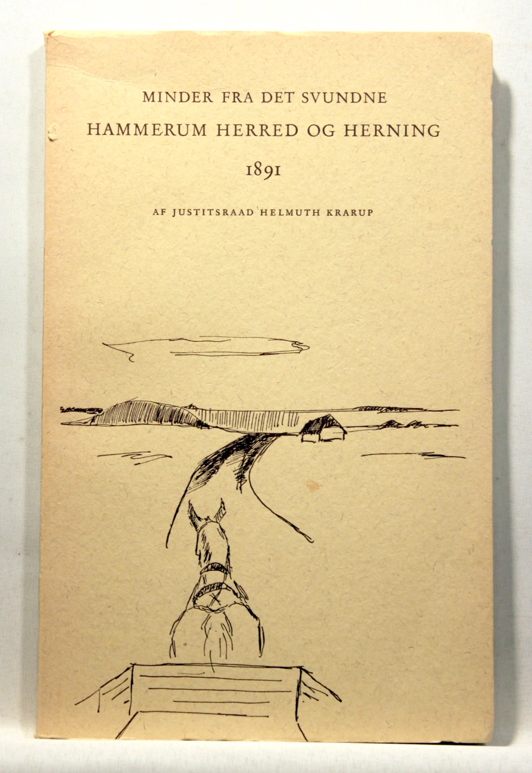 Minder fra det svundne Hammerum Herred og Herning